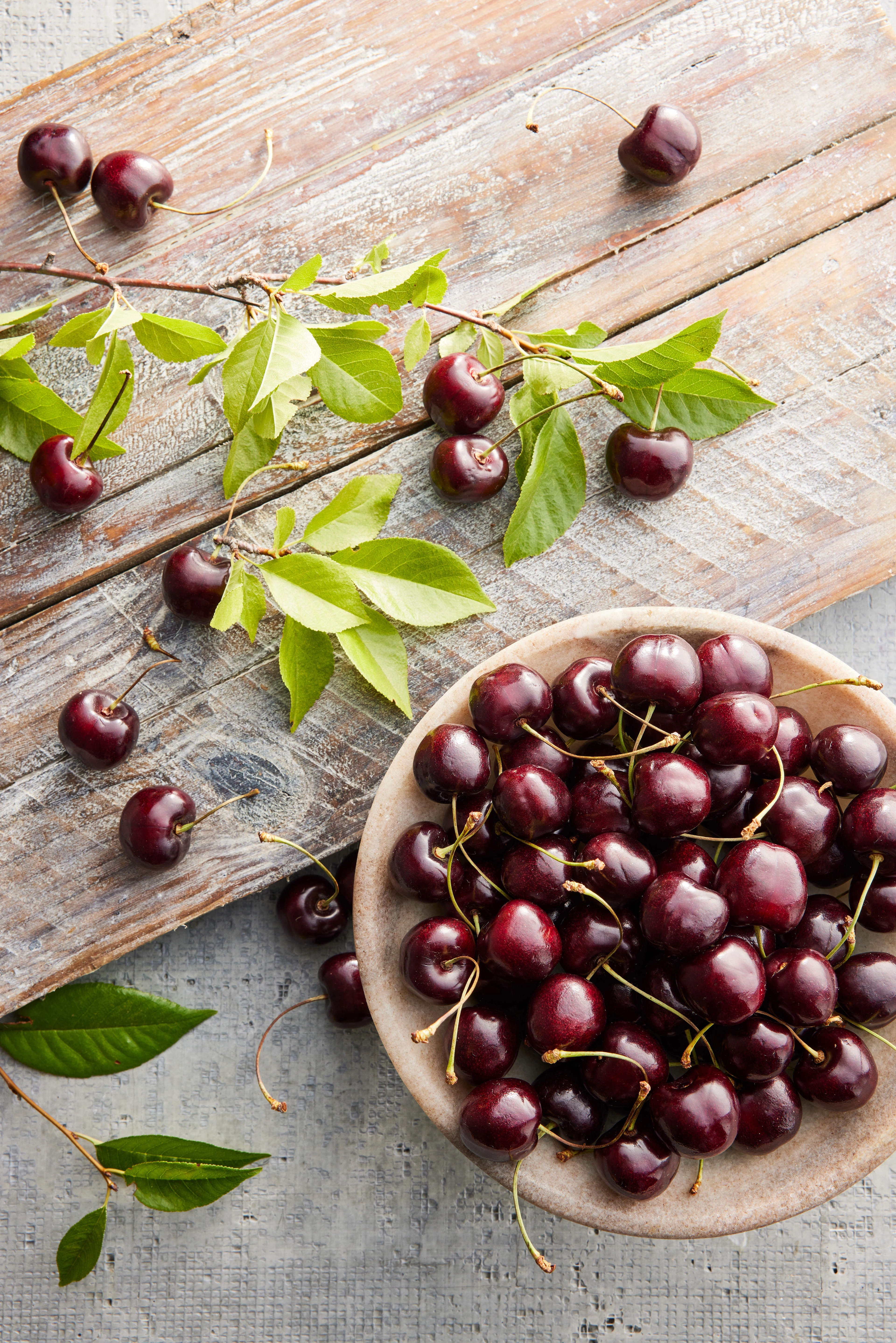 cherry facts bowl of sweet cherries