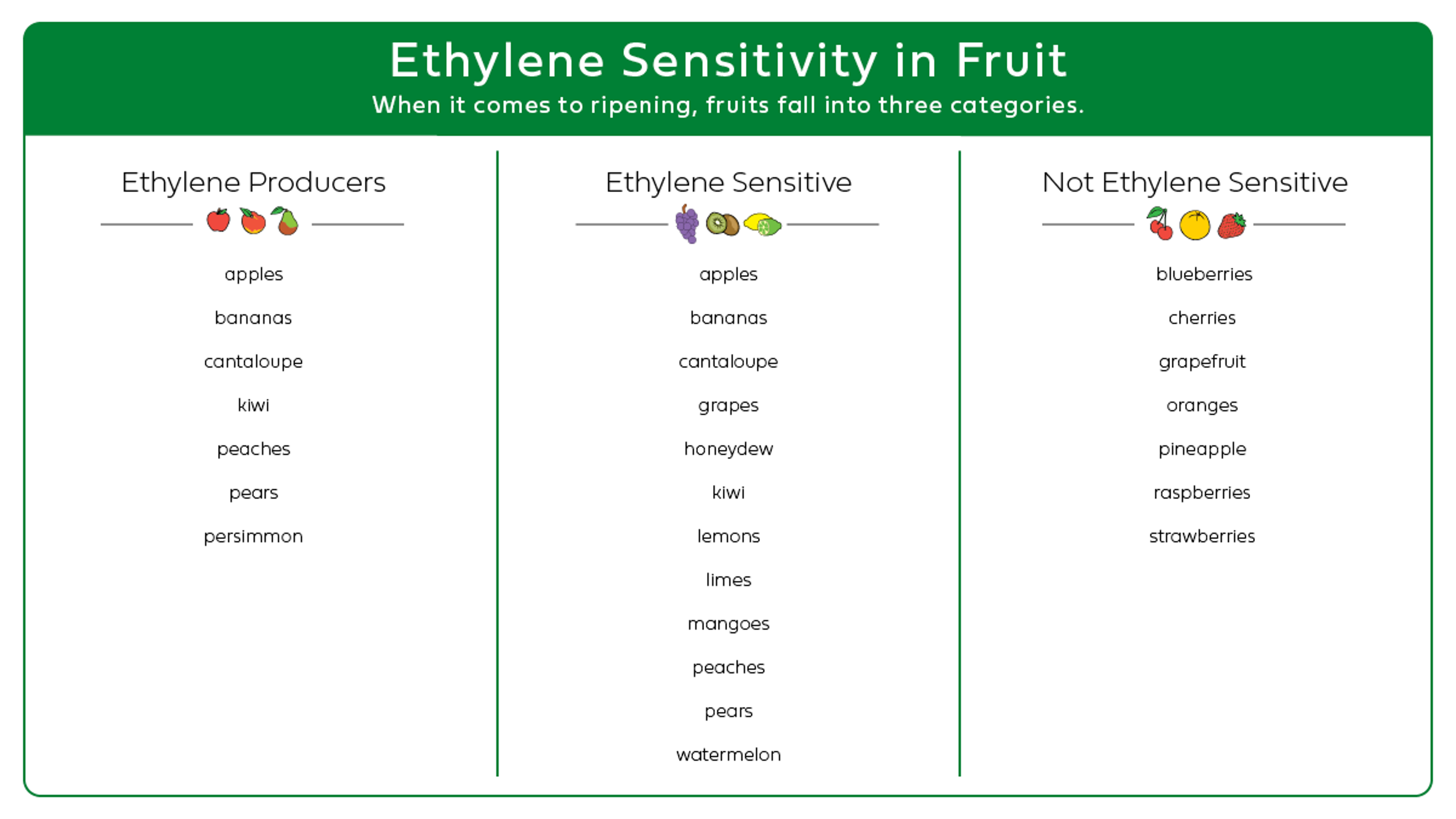 how to keep fruit fresh horizontal infographic