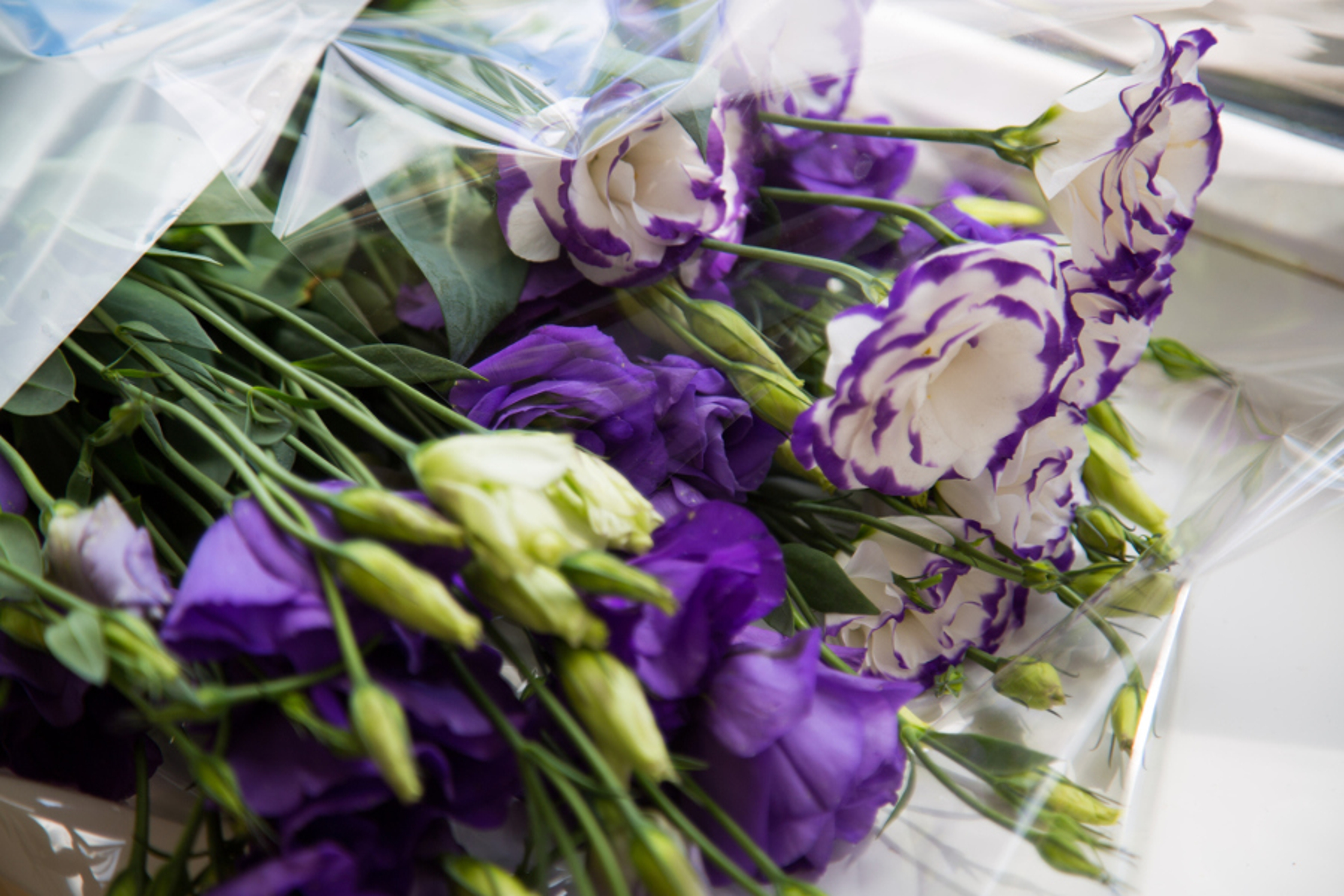 purple lisianthus