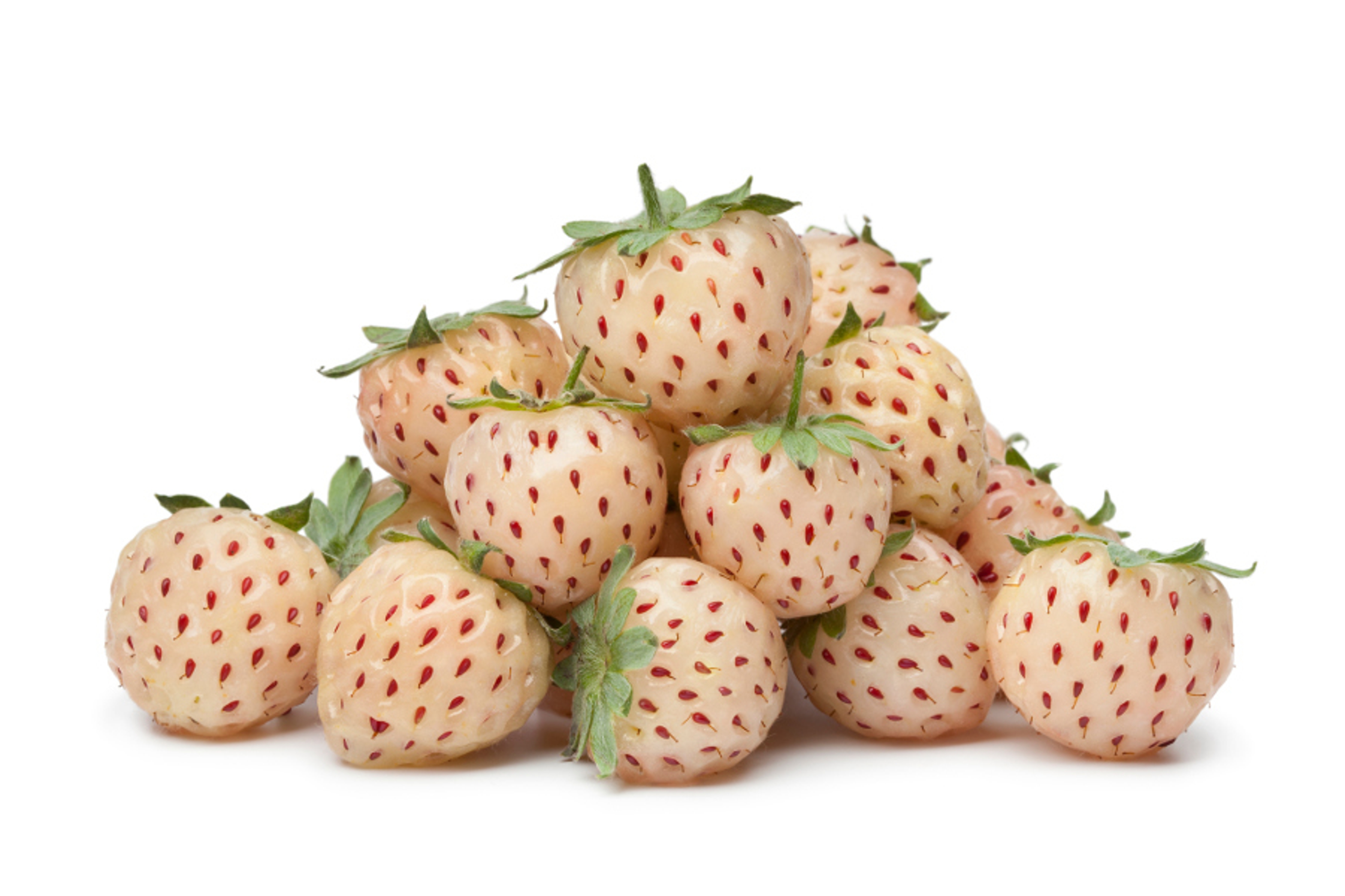 Article Cards Featured Image Fresh pineberries on white background