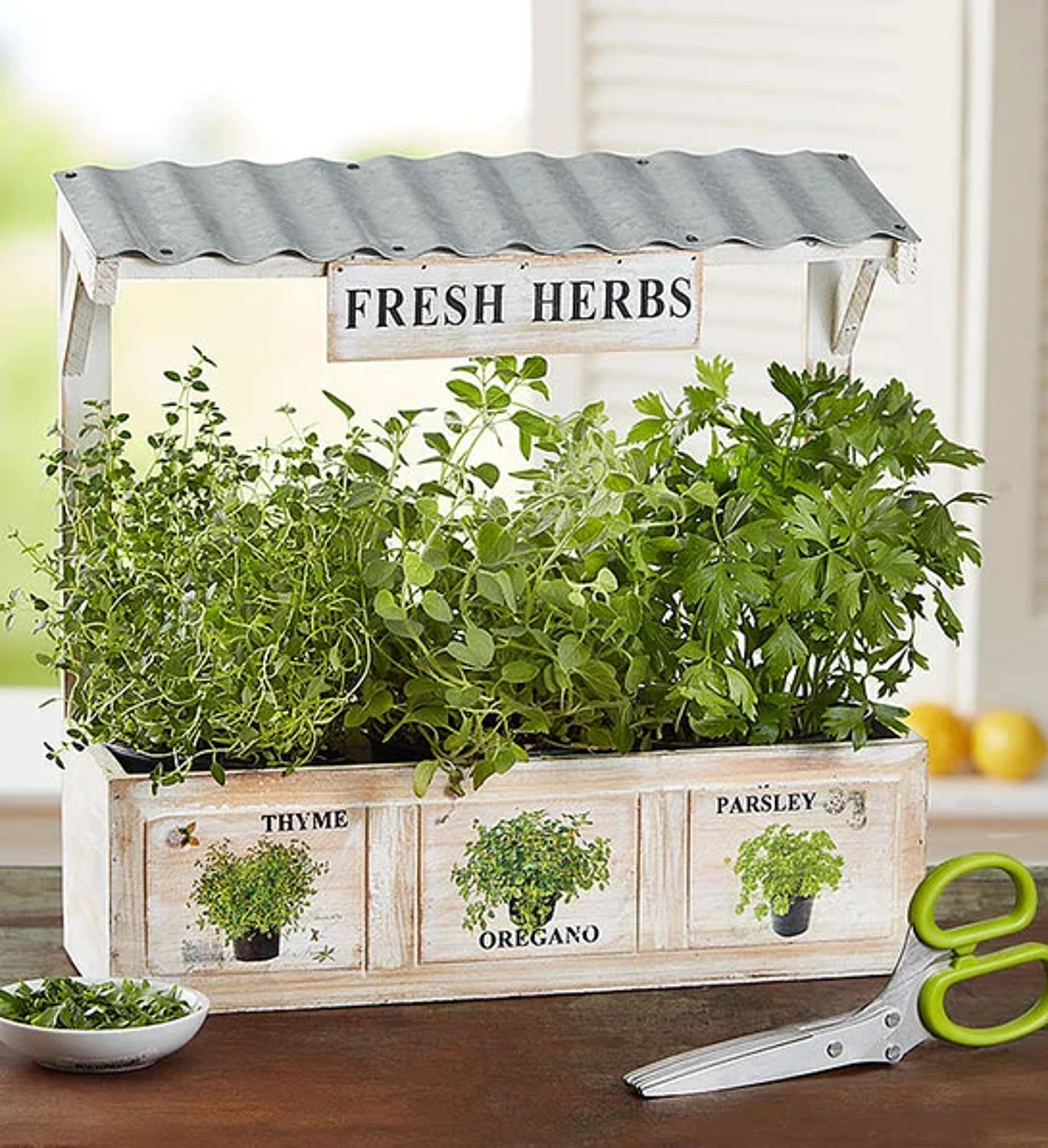 holiday gift guide Herb Garden Trio