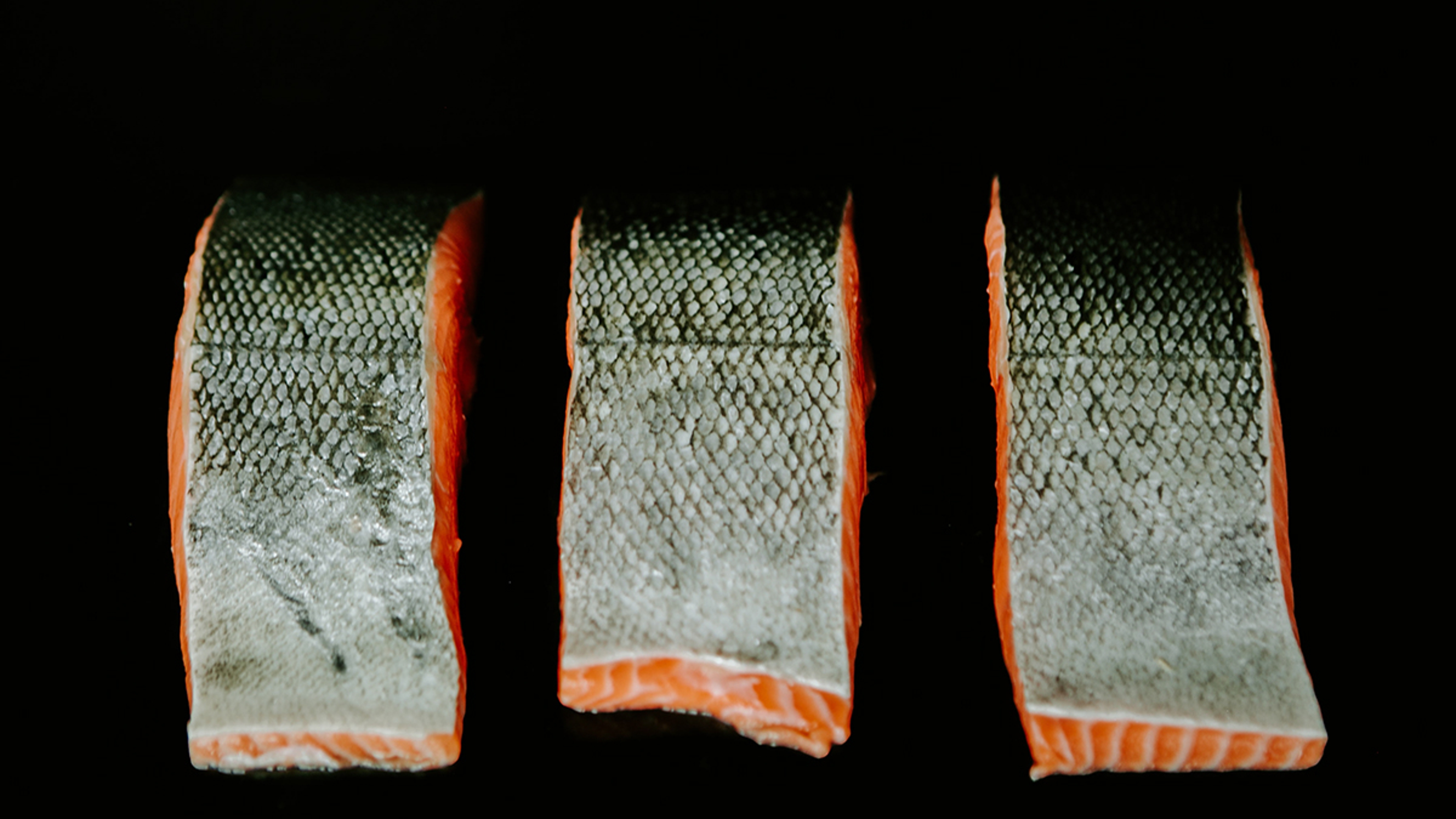 Can you eat salmon skin with three slices of salmon laying skin up.