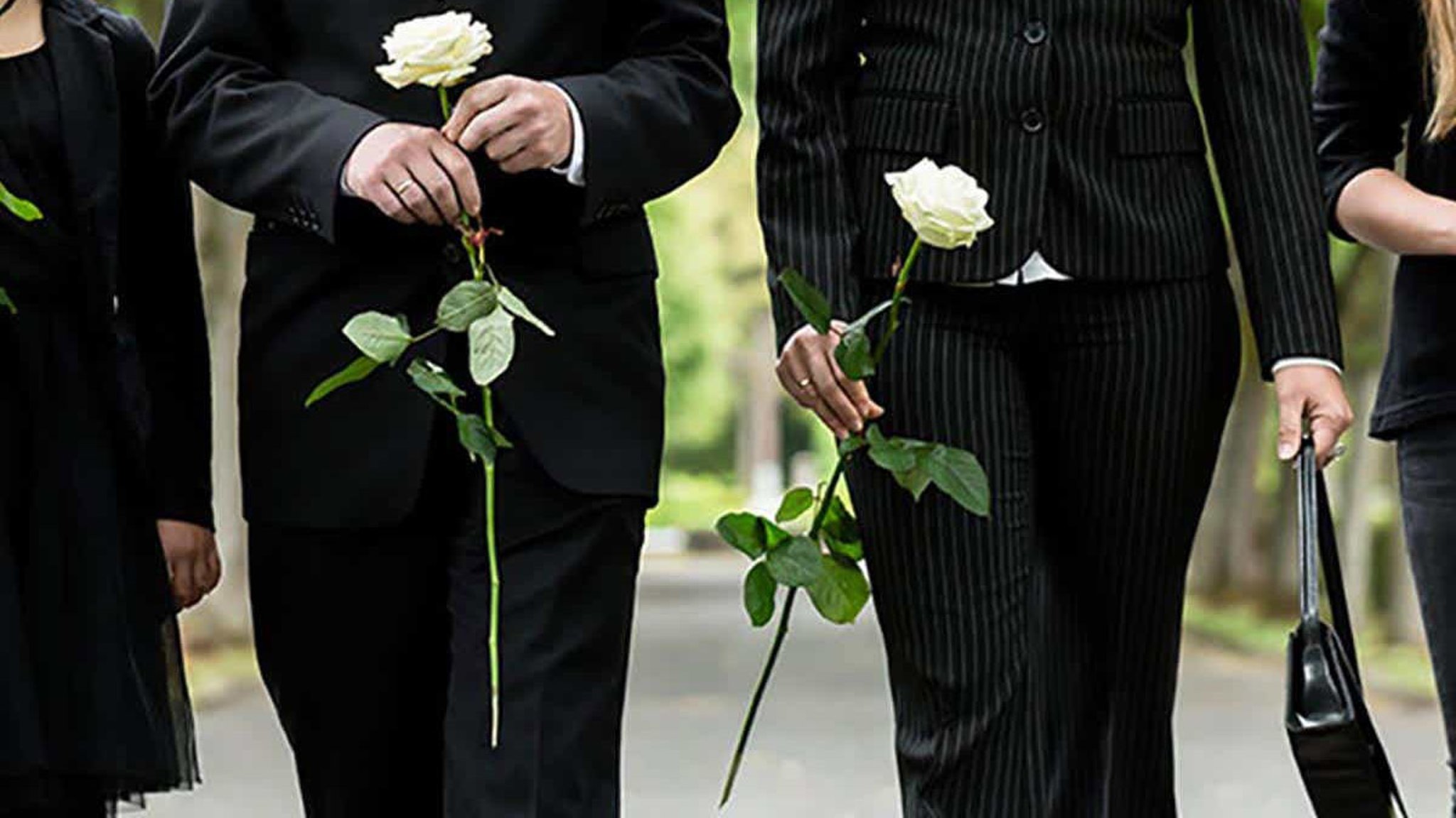 Sympathy Flowers: Meanings and Significance | Petal Talk