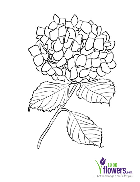 Fathers Day Coloring Card 1 Thumb