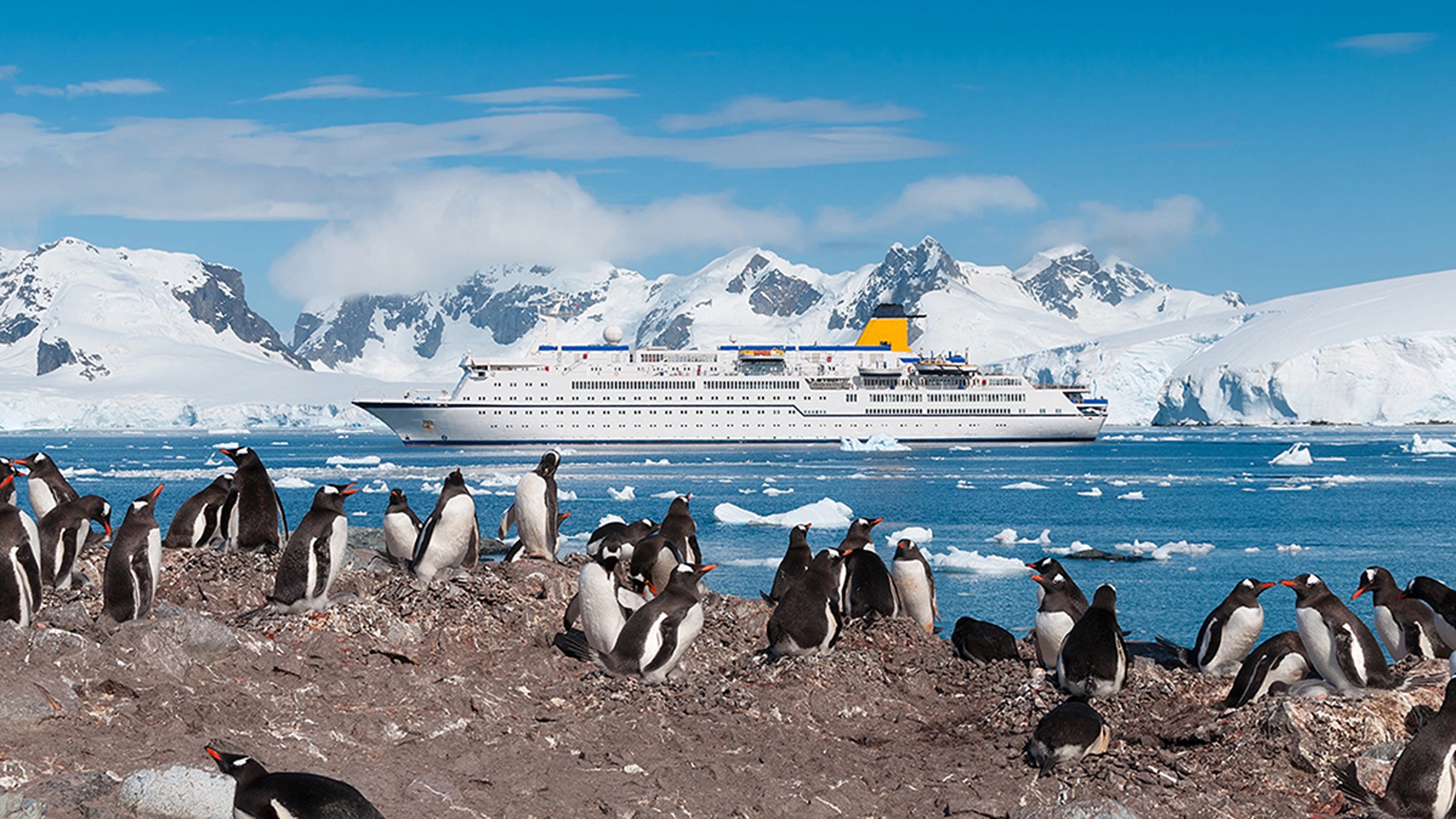Cruise ship visiting Antarctica