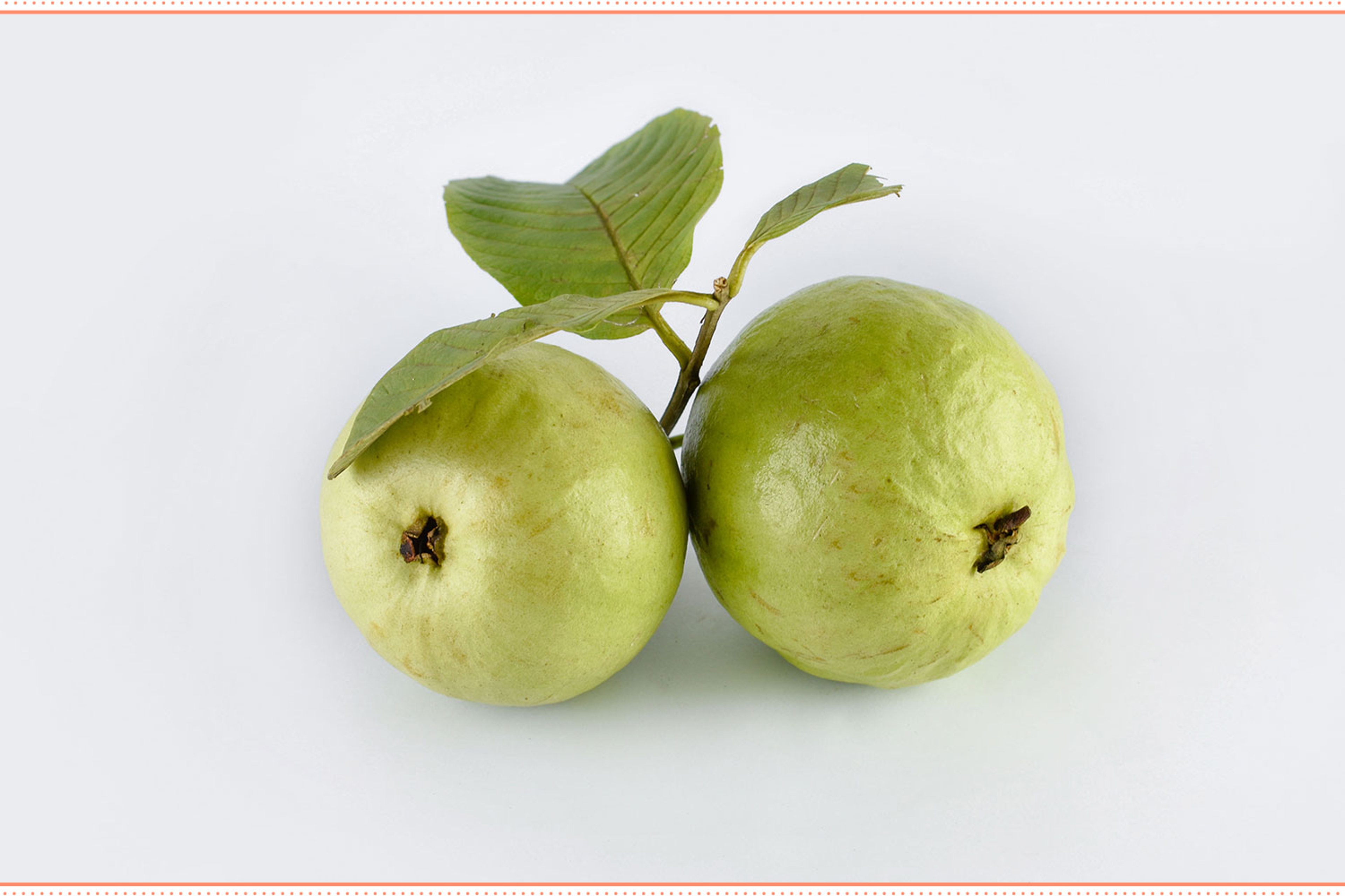 types of fruit guava