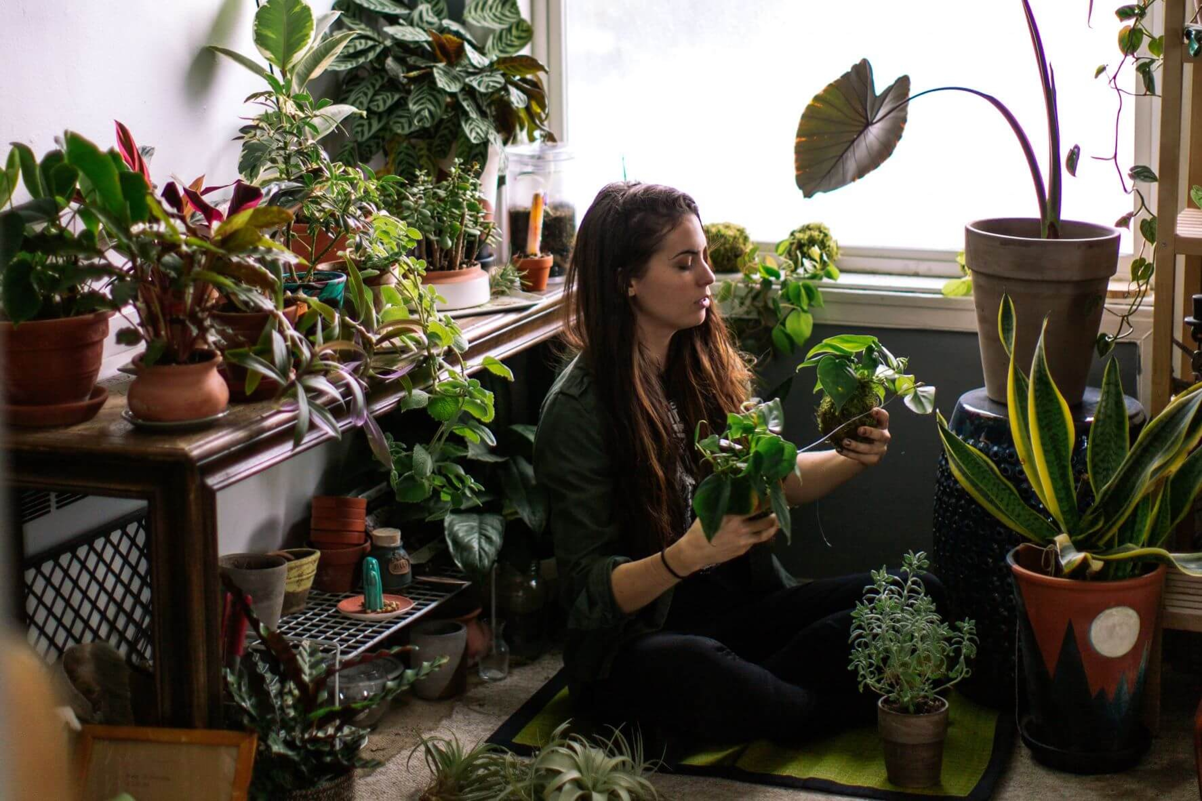 Article Cards Featured Image woman sitting on floor with plants