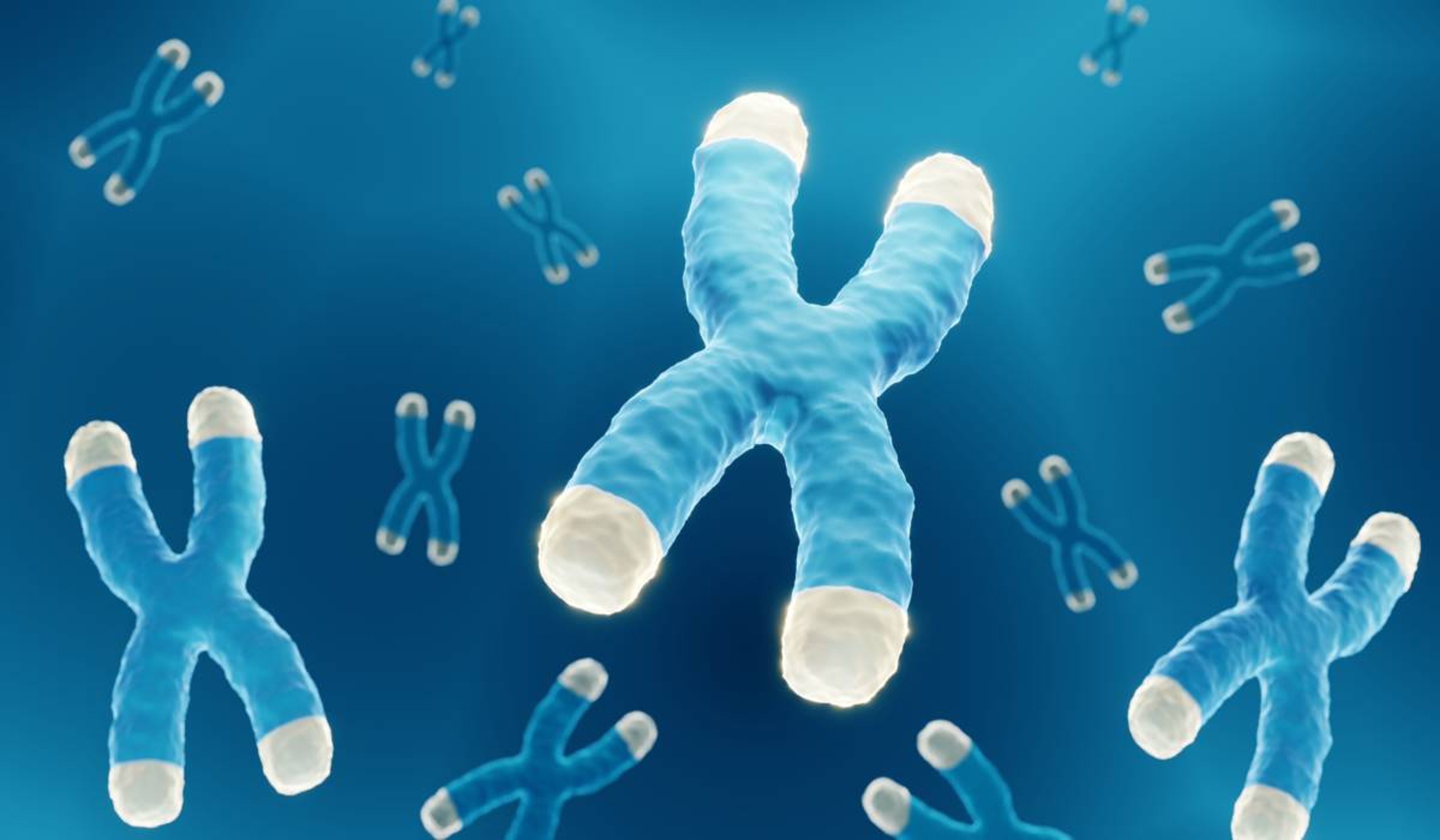 A rendering of telomeres, the genetic structures that underlie aging.