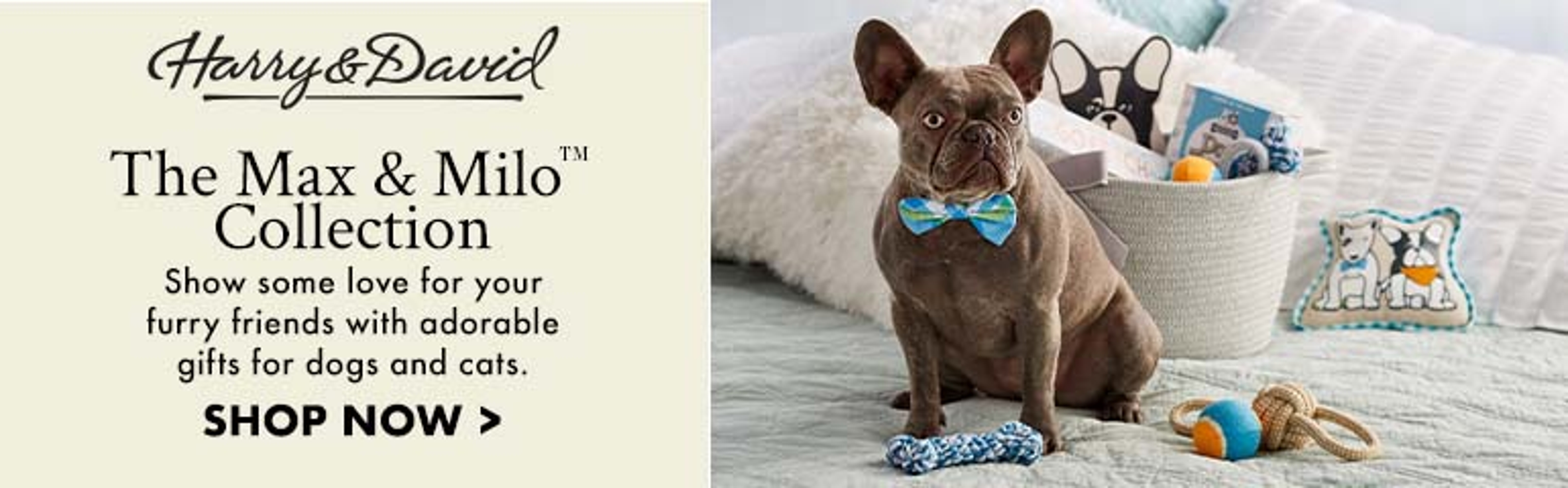 Max and Milo Partnership Max & Milo Collection Banner ad
