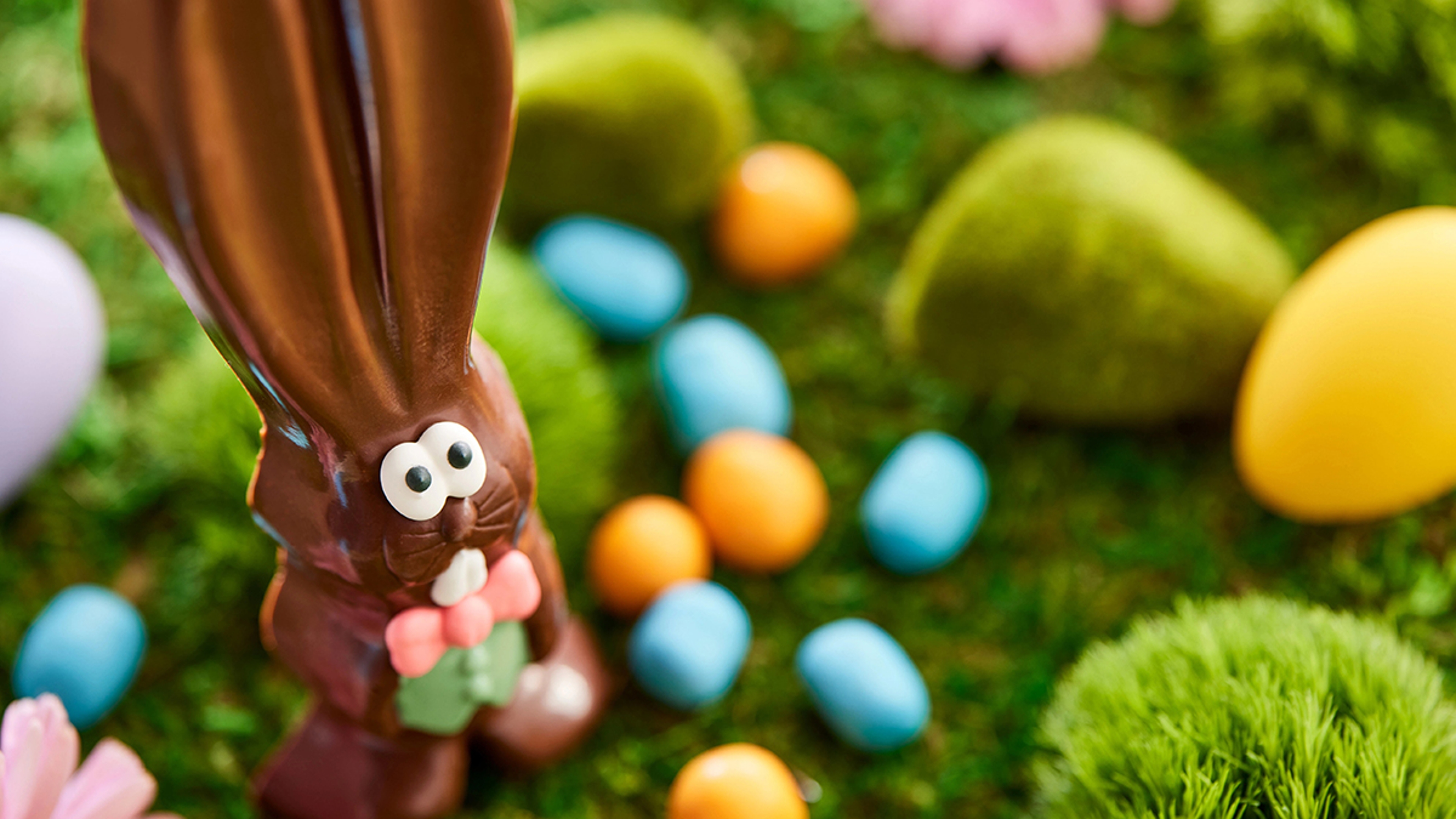 Chocolate Easter bunny with a green background.