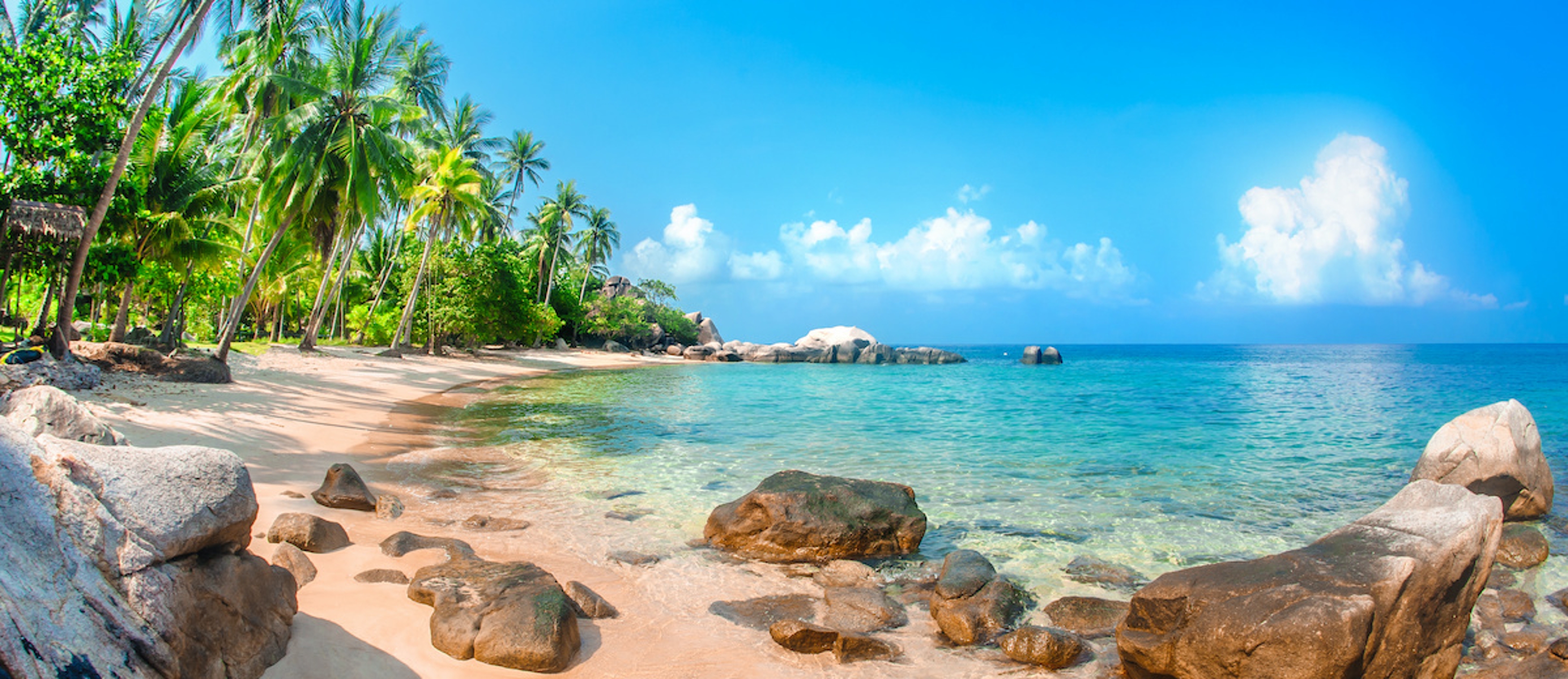 Article Cards Featured Image Beautiful tropical beach at exotic island with palm trees