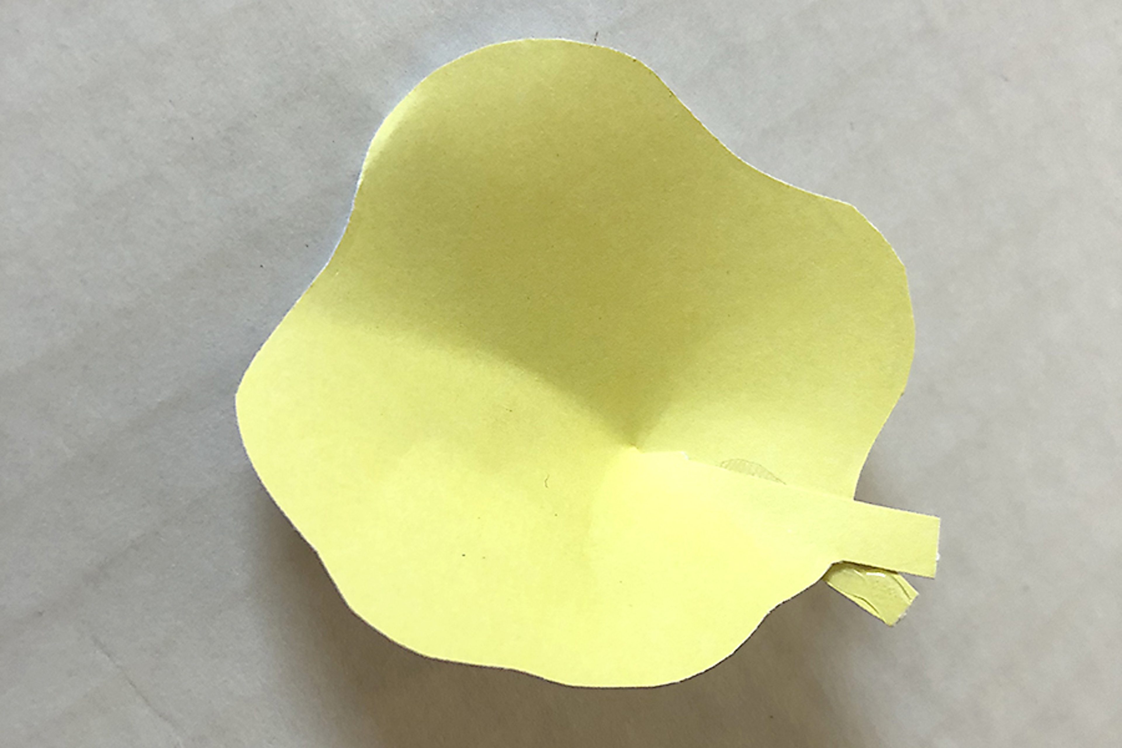 flower petals