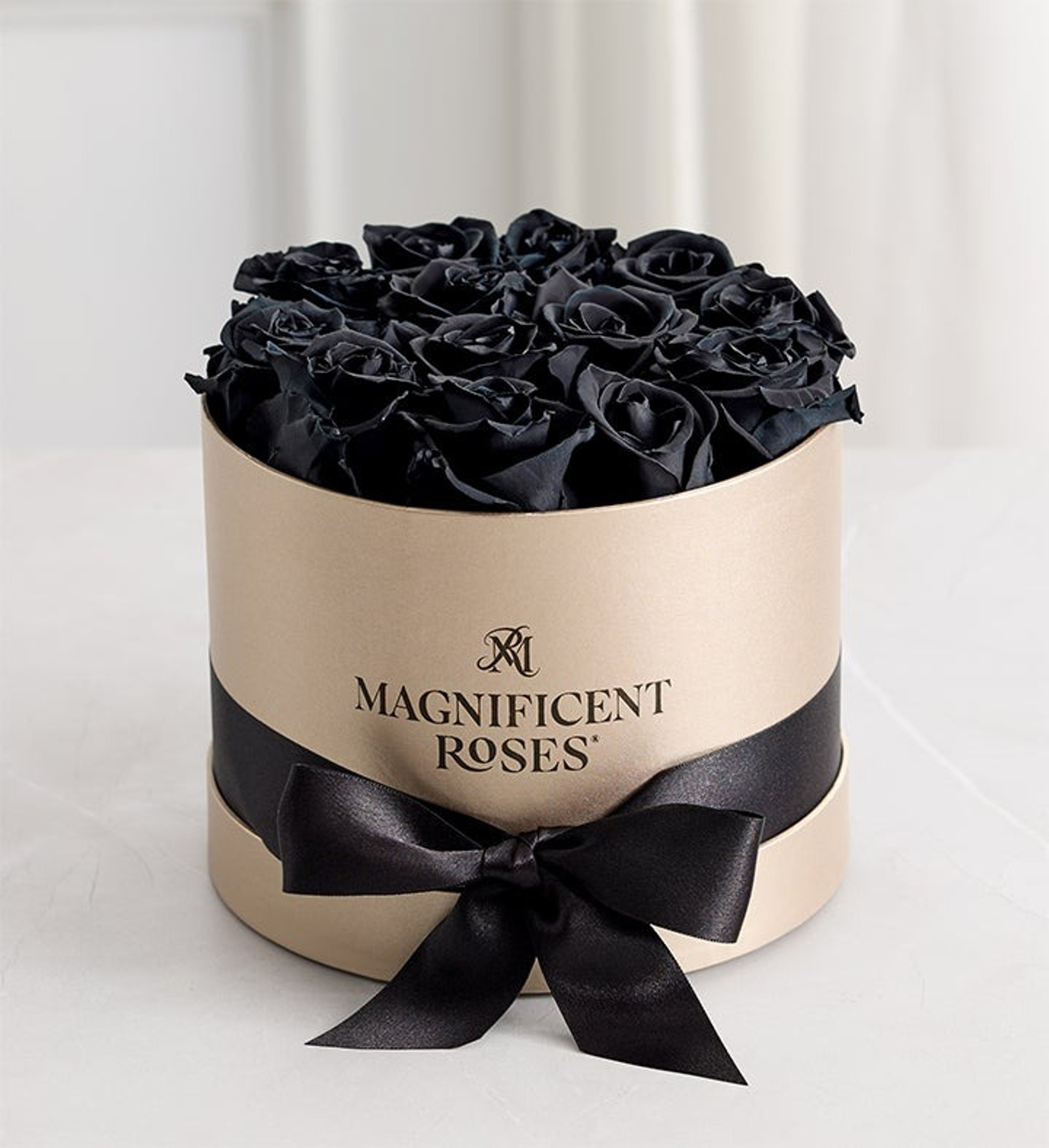 zodiac compatibility with night sky magnificent black roses