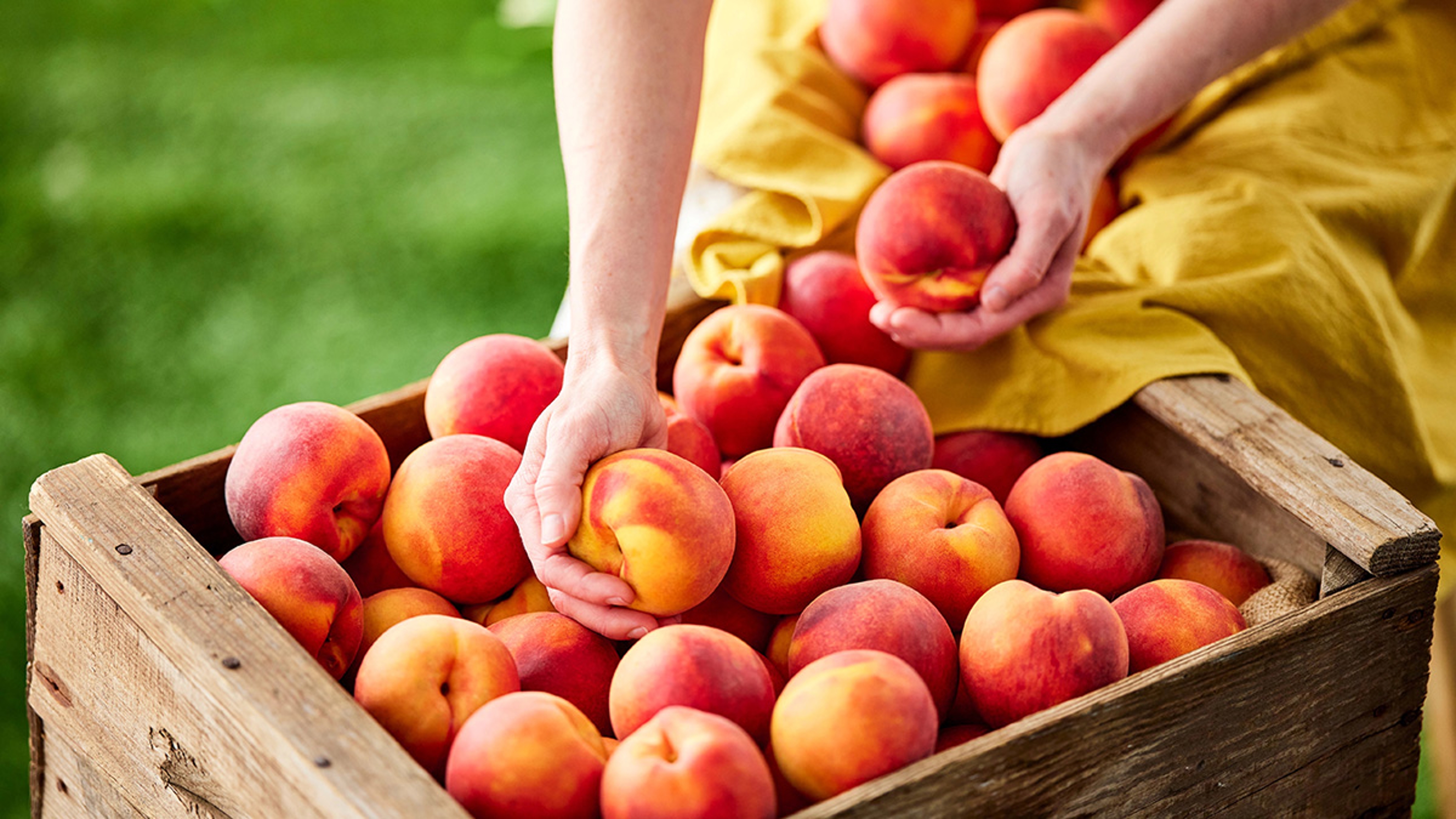 types of peaches crate hero