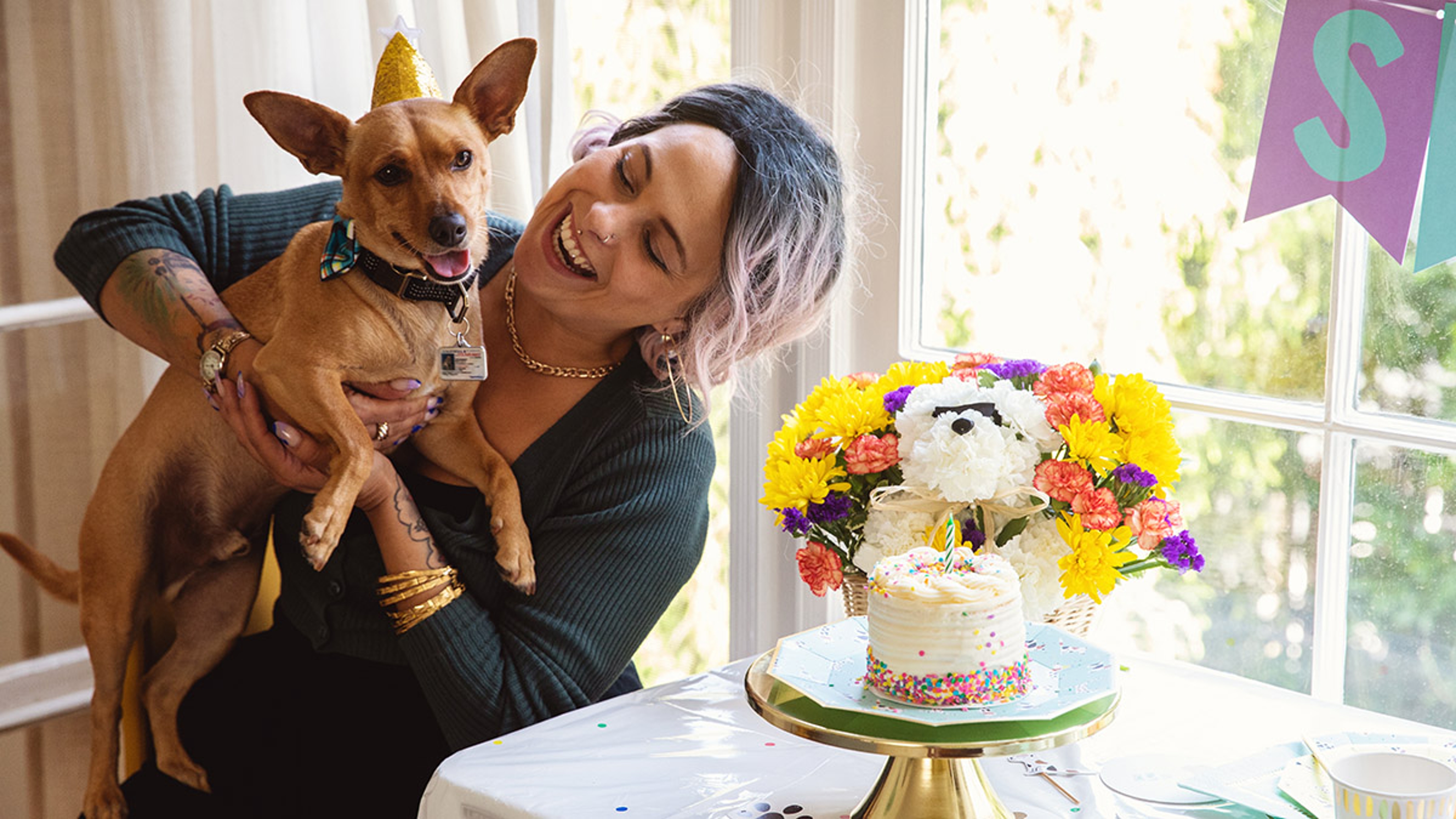 dog birthday party owner holding dog