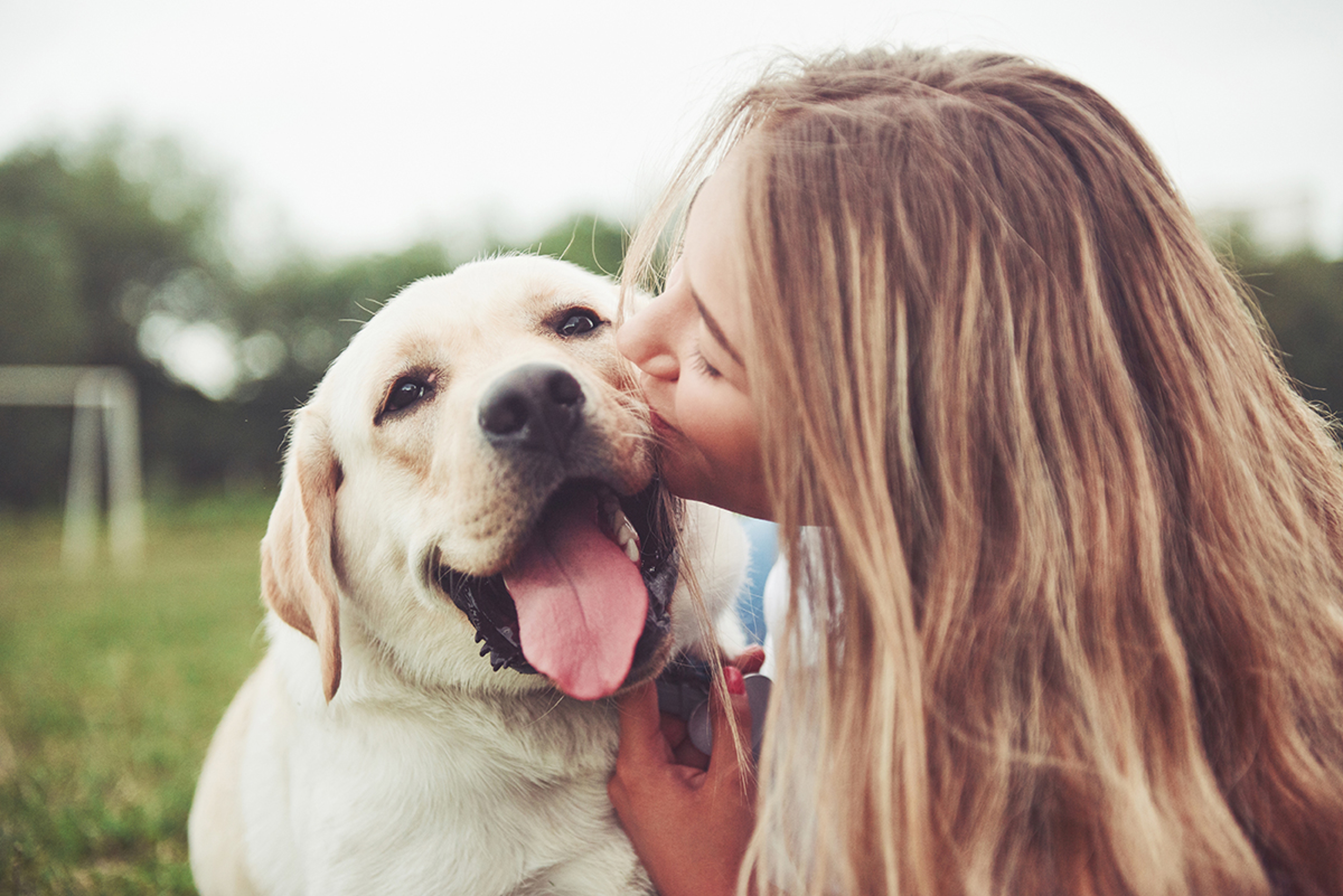 Article Cards Featured Image Frame with a beautiful girl with a beautiful dog in a park on green grass.