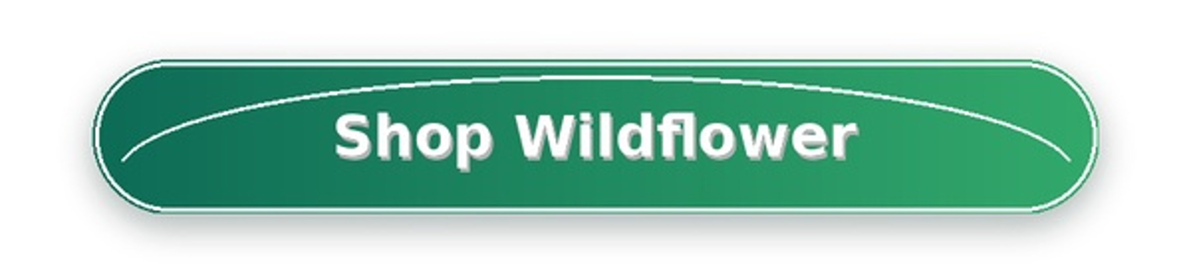 Wildflower Blog CTA Button