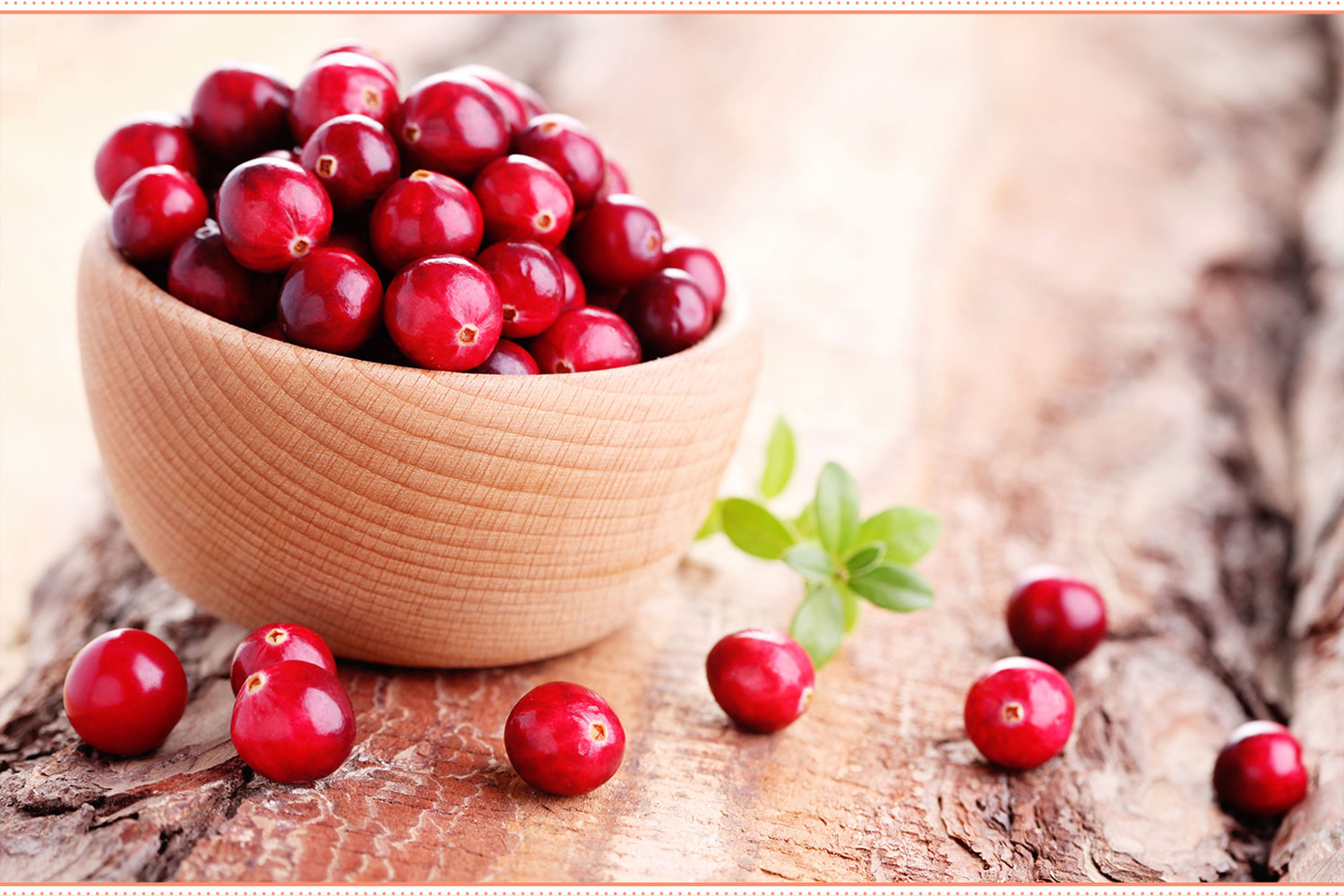 types of fruit cranberry