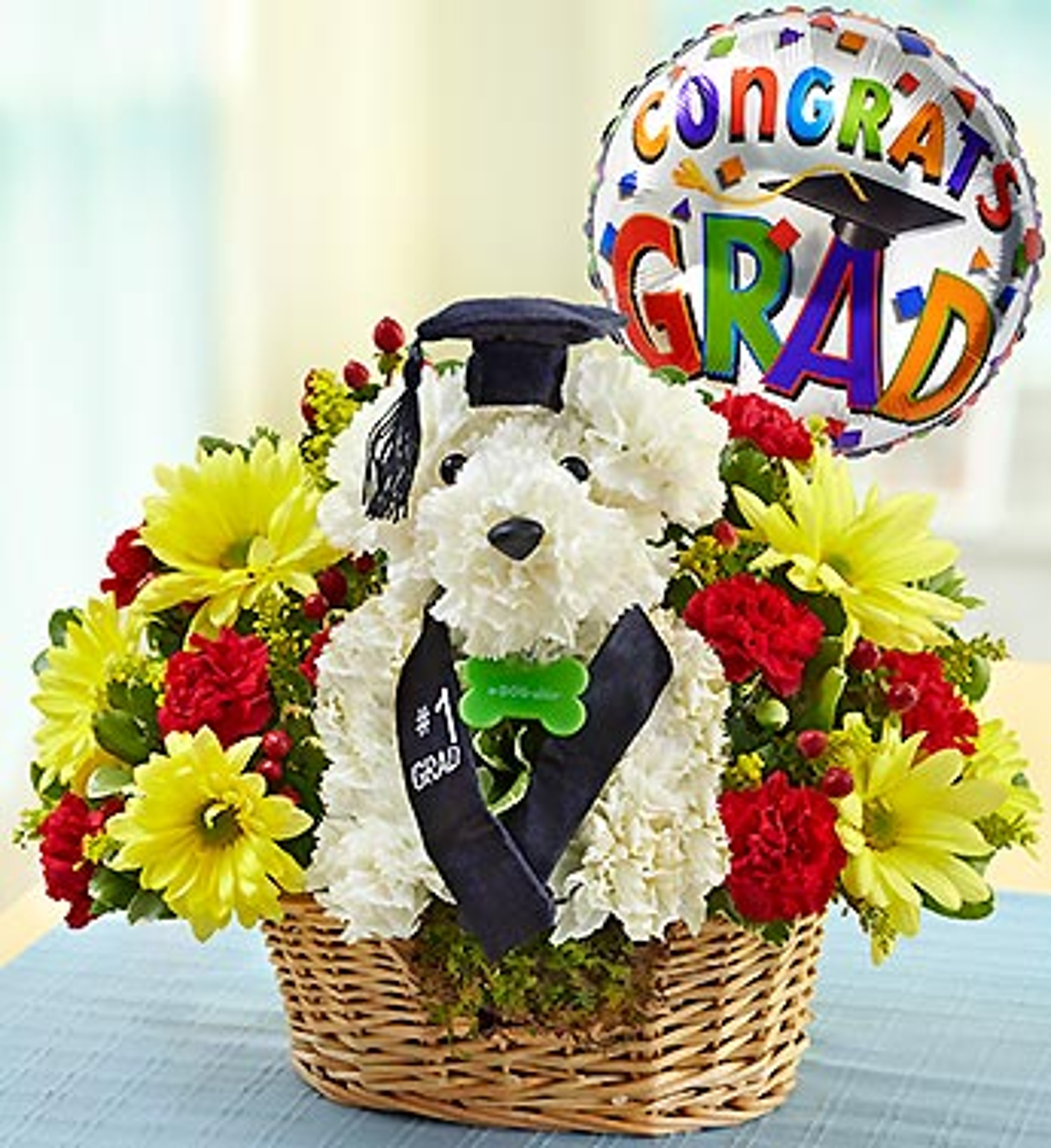 It's Your Day Graduation A Dog Able