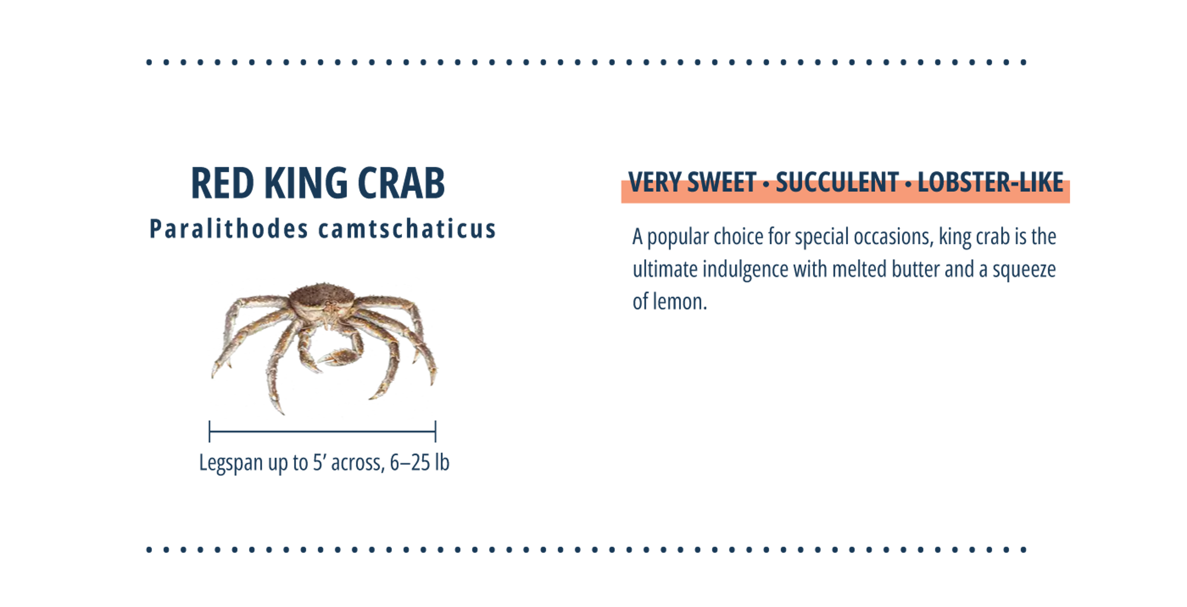 Infographic on Red King Crabs