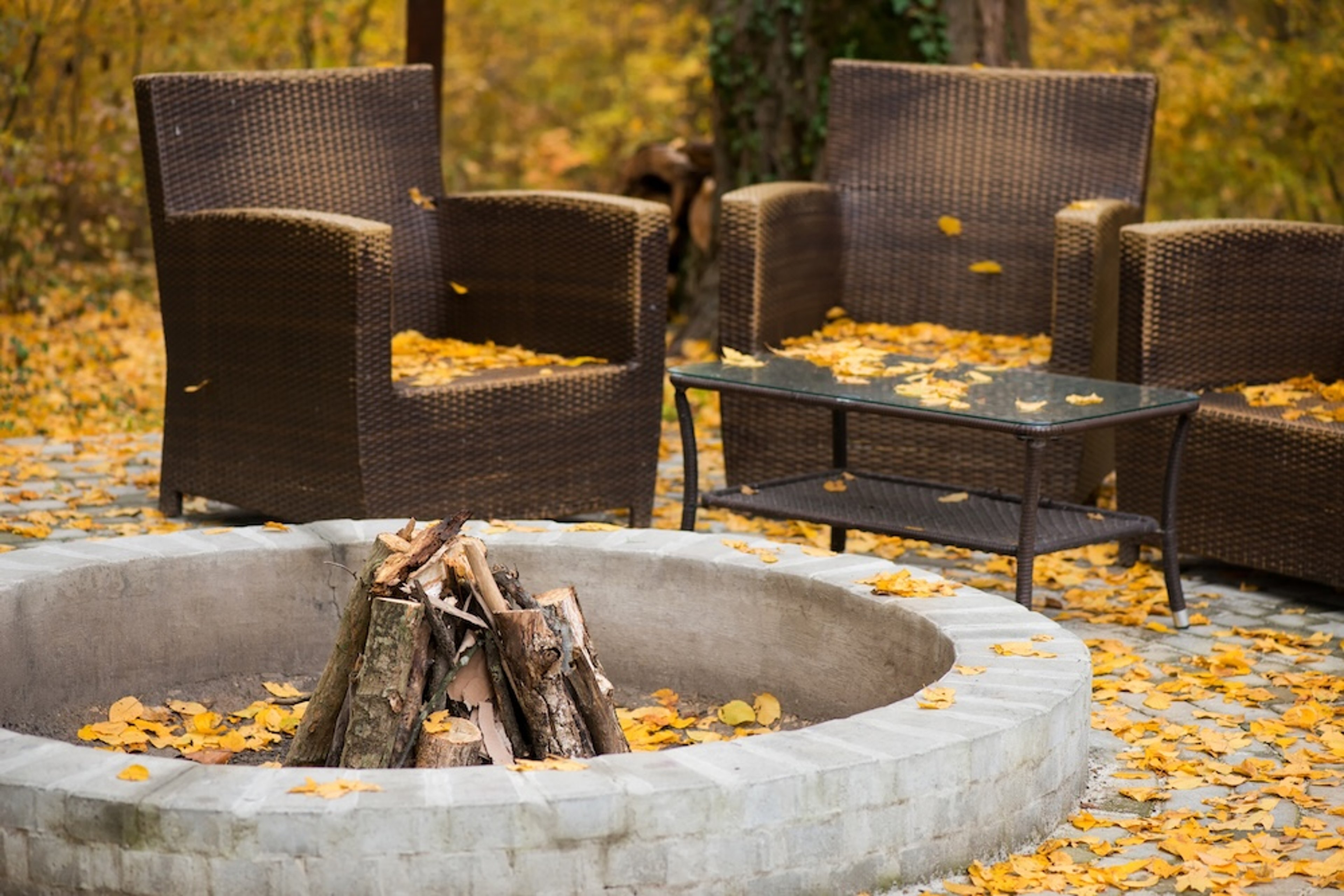 feeling fall pic