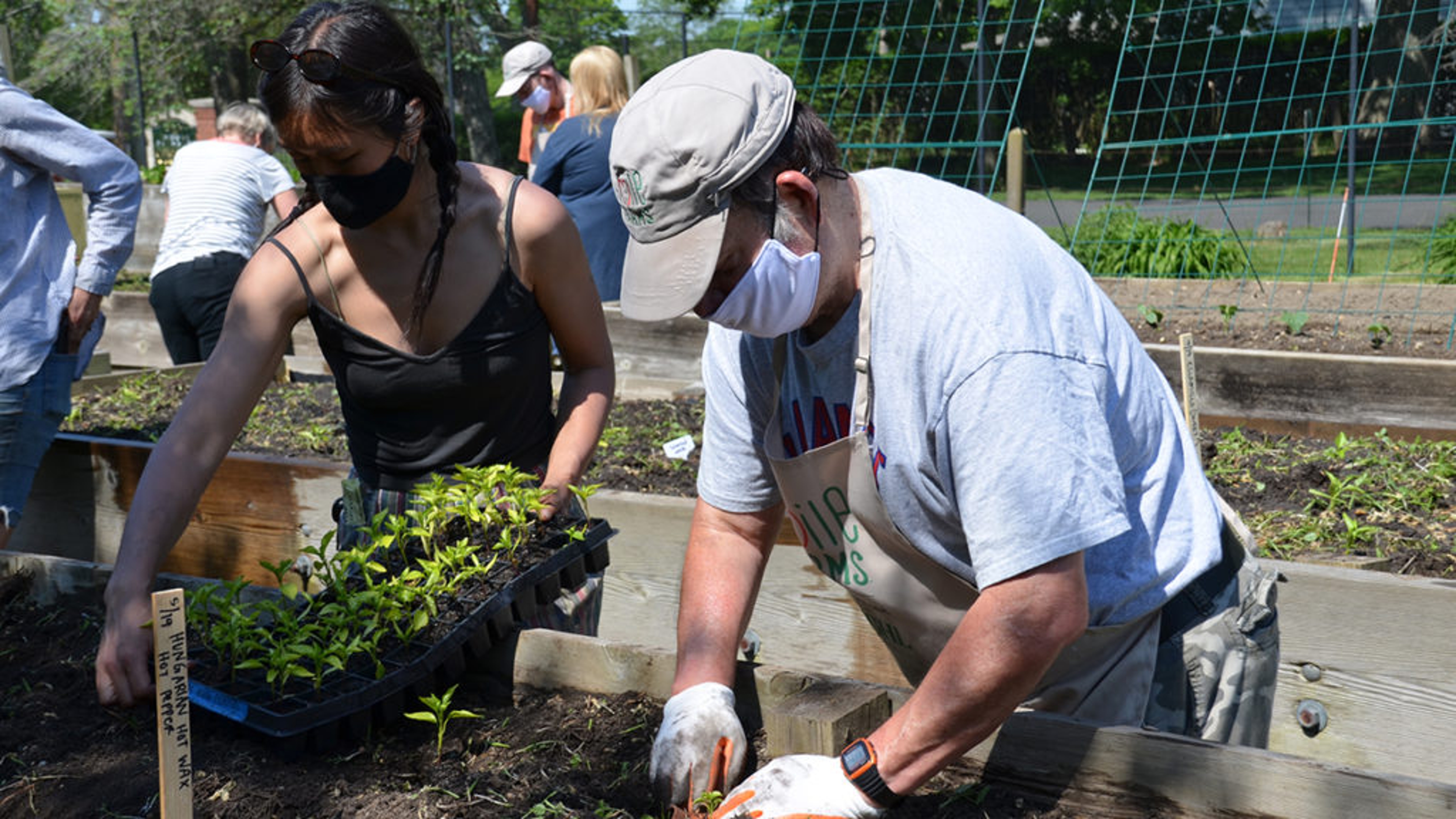 smile farms hot sauce smile farmers planting gardening
