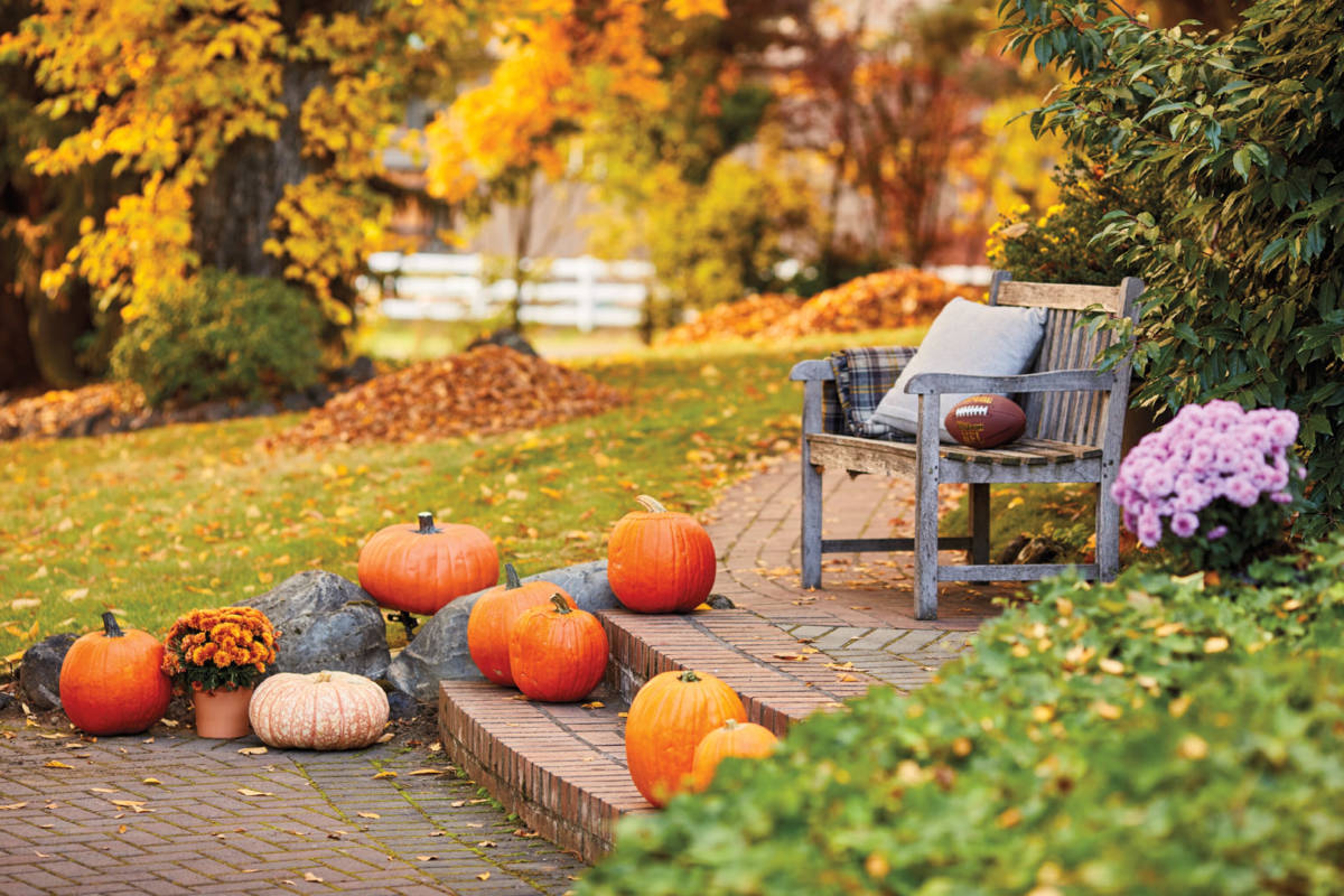 fall birthday party ideas image pumpkins on a walkway to a patio.