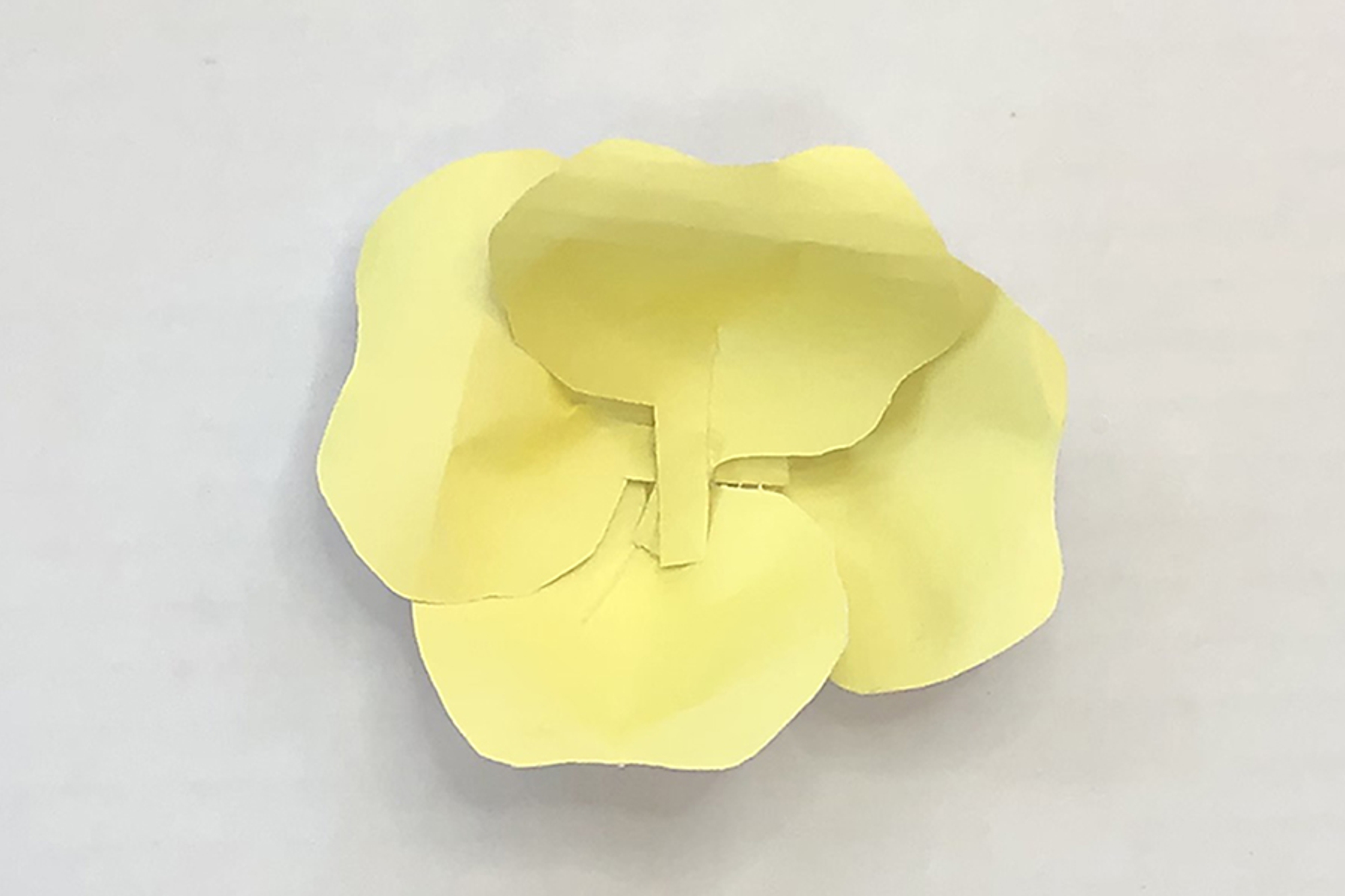 flower petals