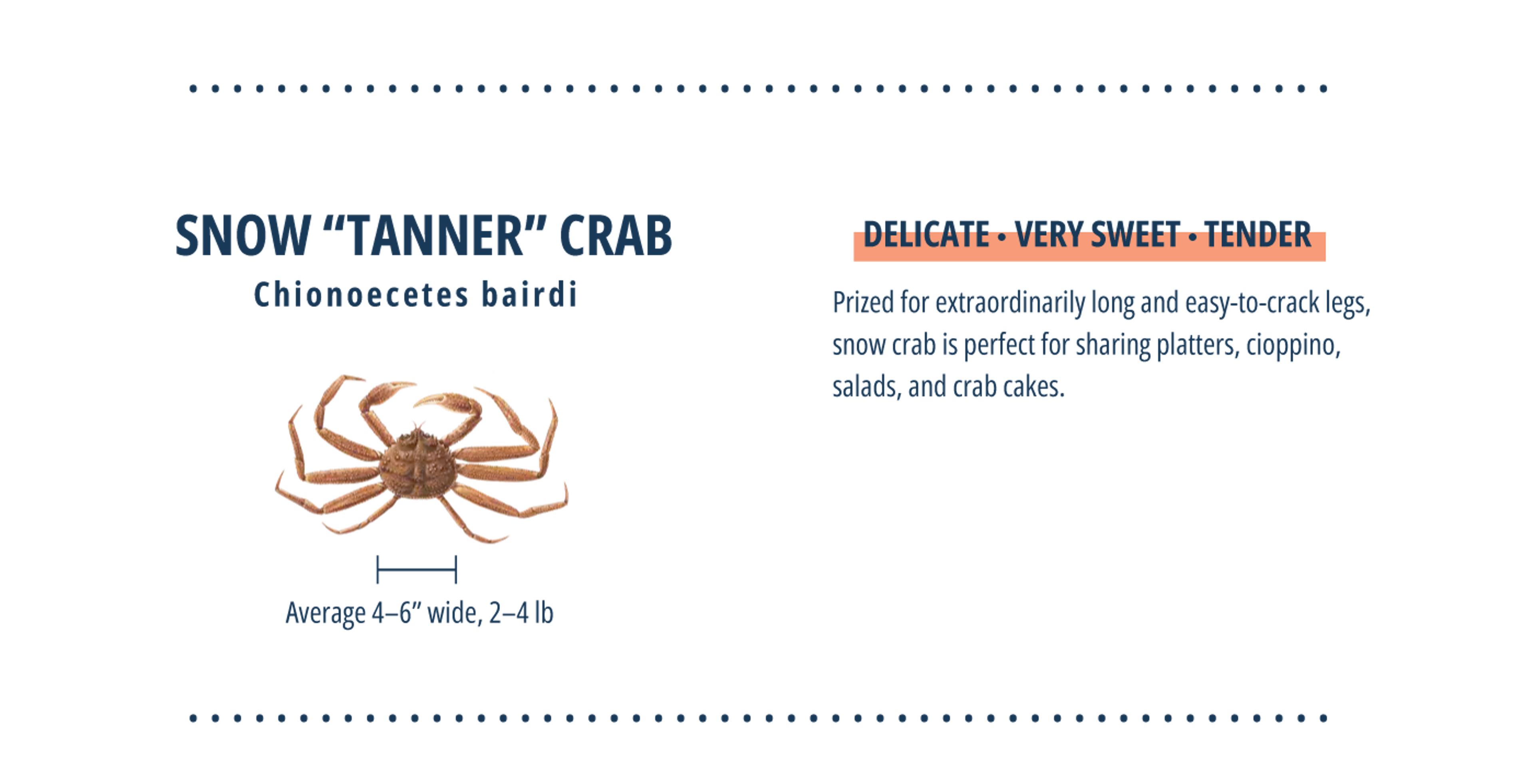 Infographic on Snow "Tanner" Crabs
