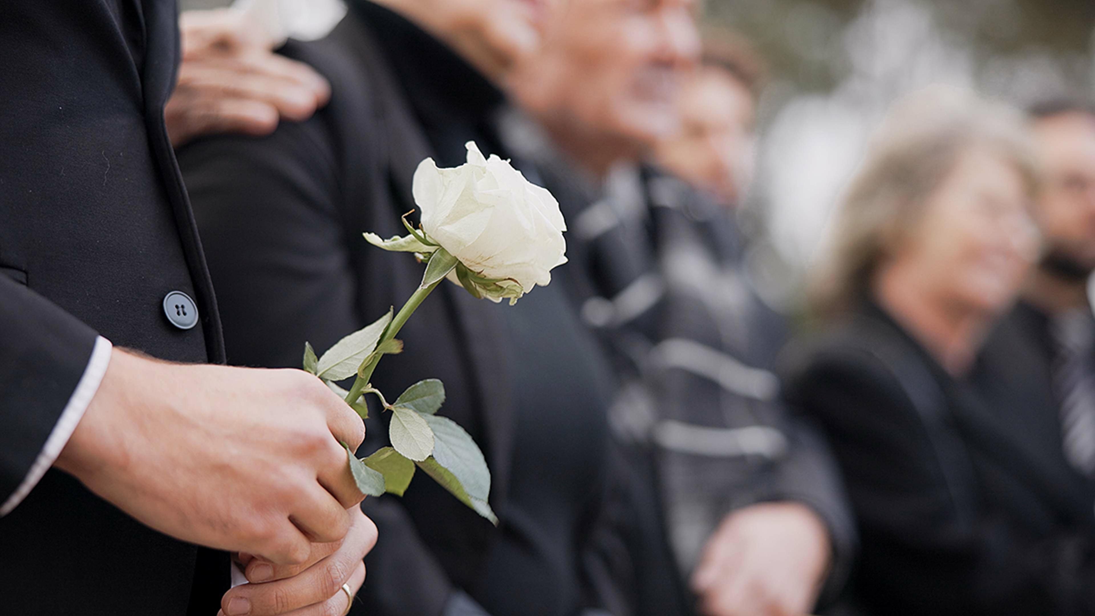 Closeup of a white rose at a funeral.