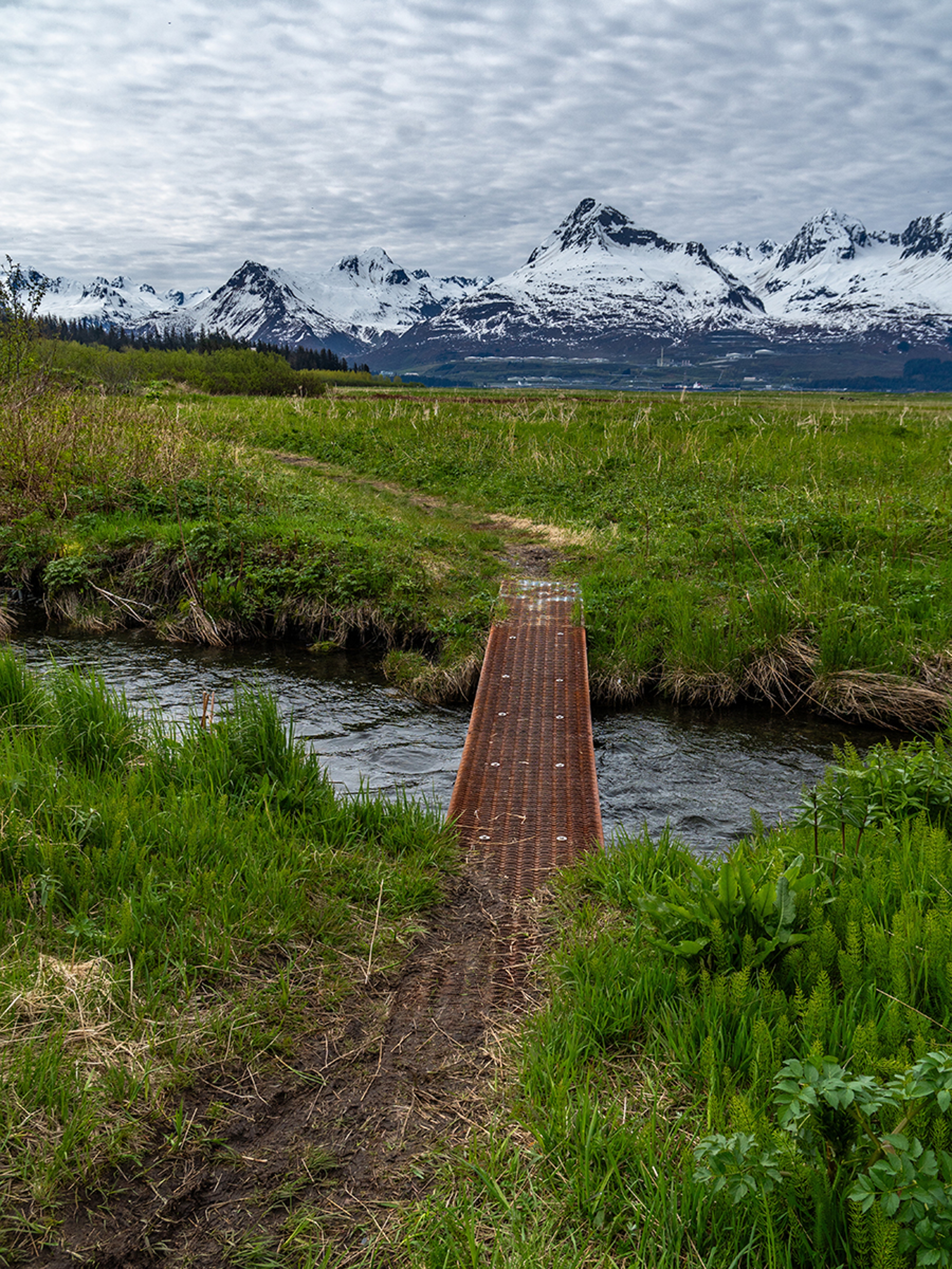 prince william sound shoup trail