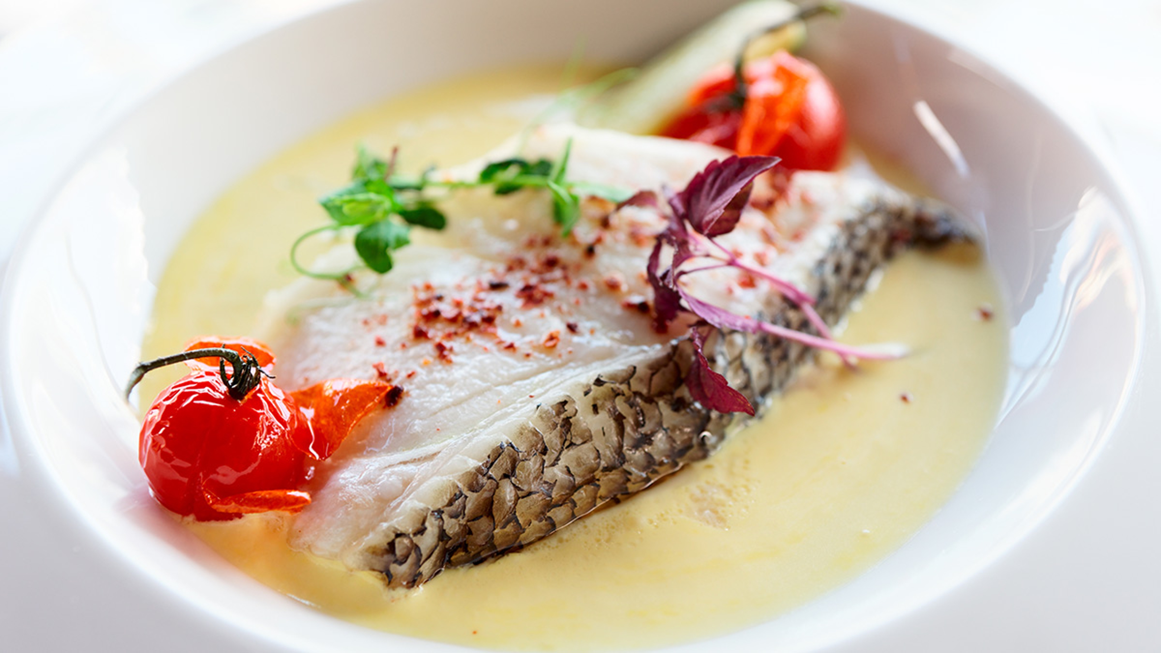 Chilean seabass plated with cream and cooked tomatoes.