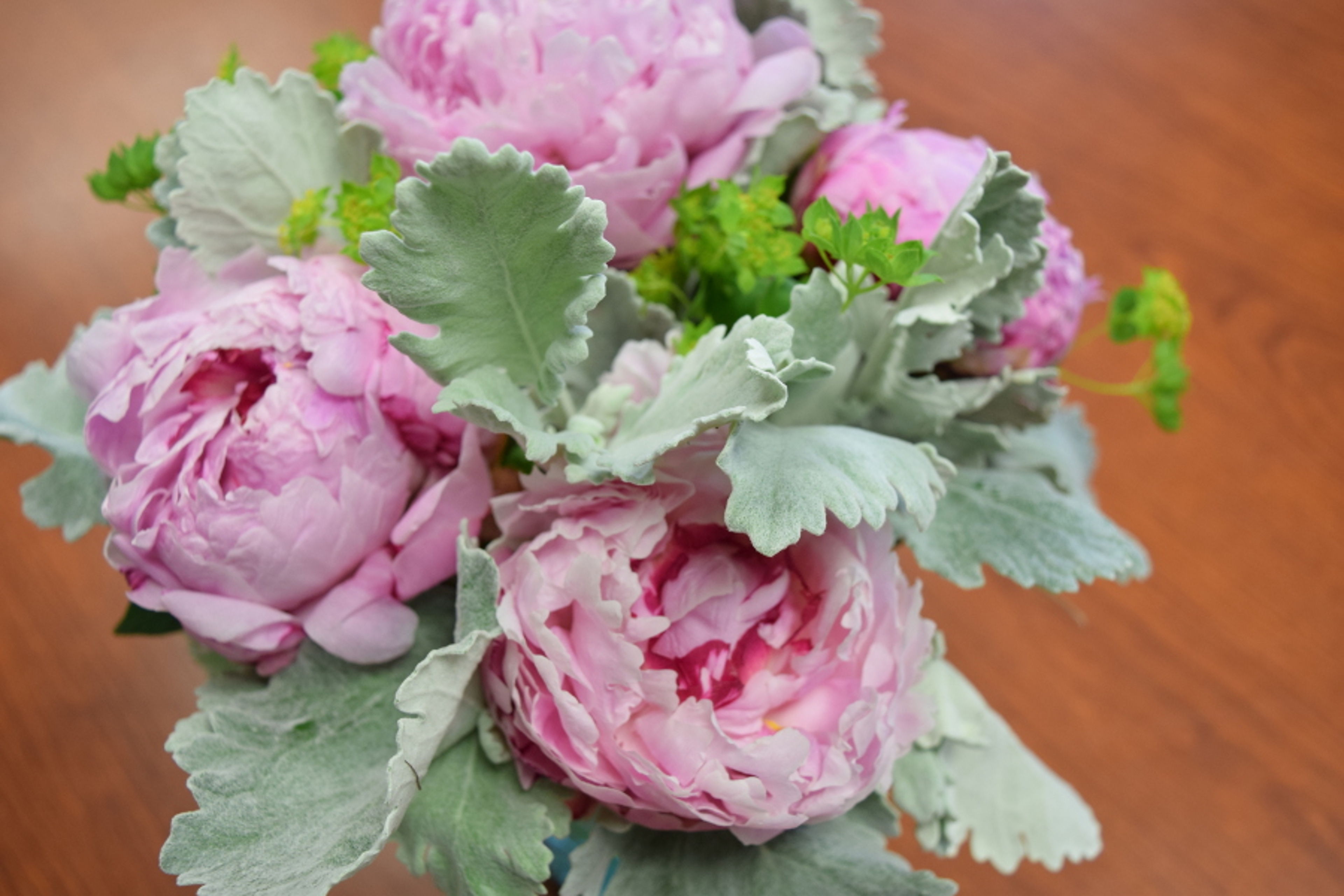 peonies and dusty miller