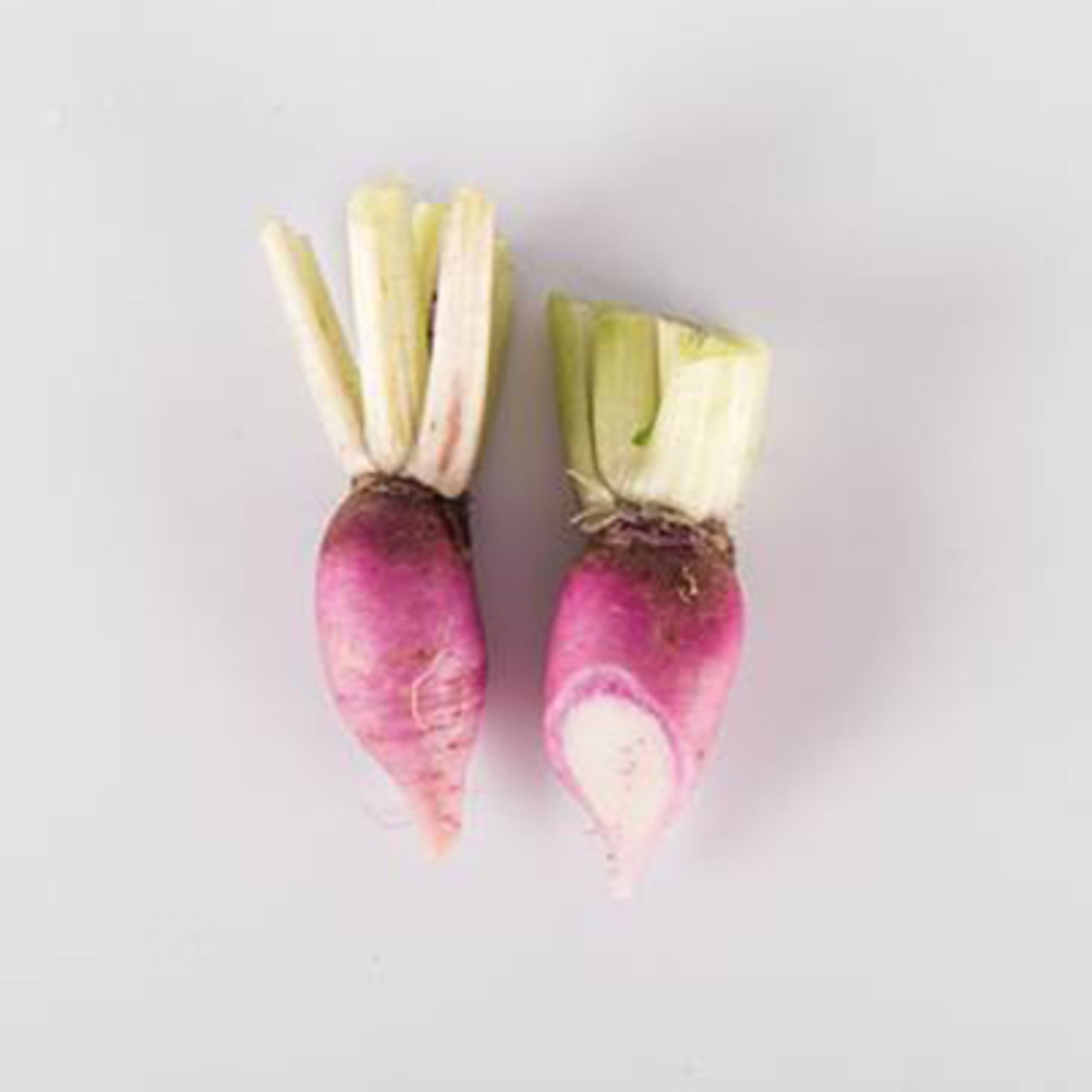 types of radishes ninja purple