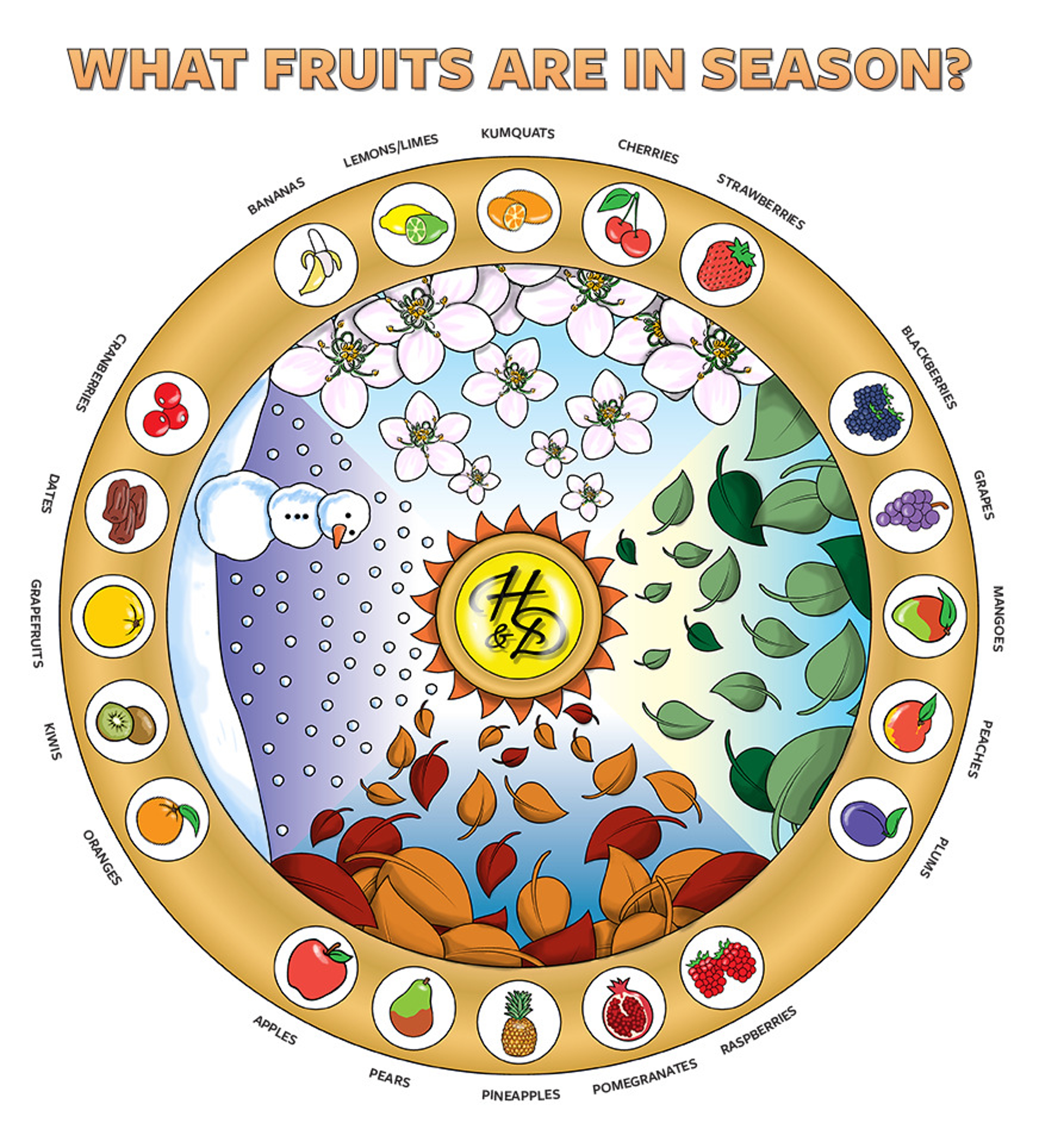 what fruits are in season infographic