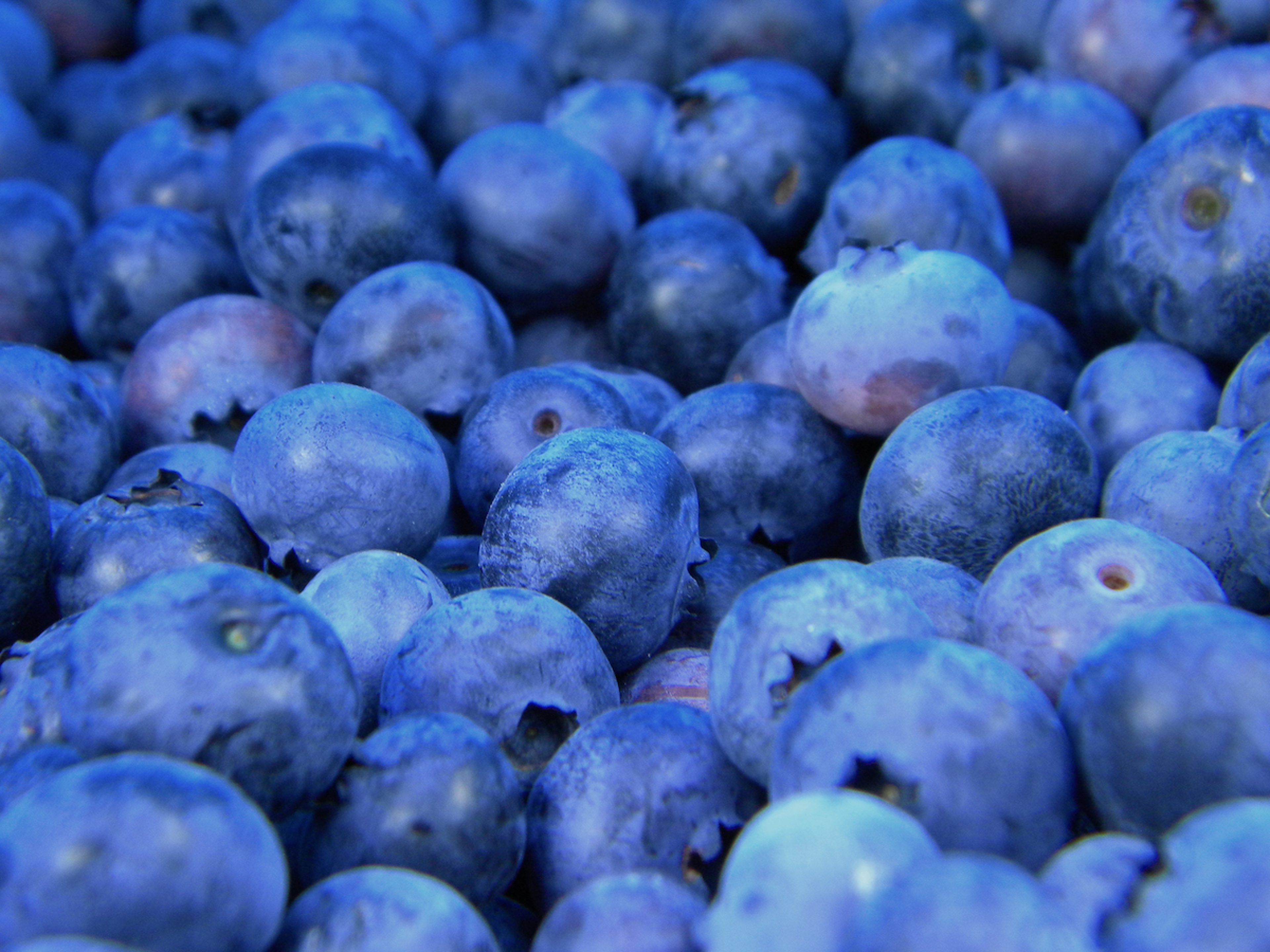 Article Cards Featured Image Bundle of Blueberries Unsplash
