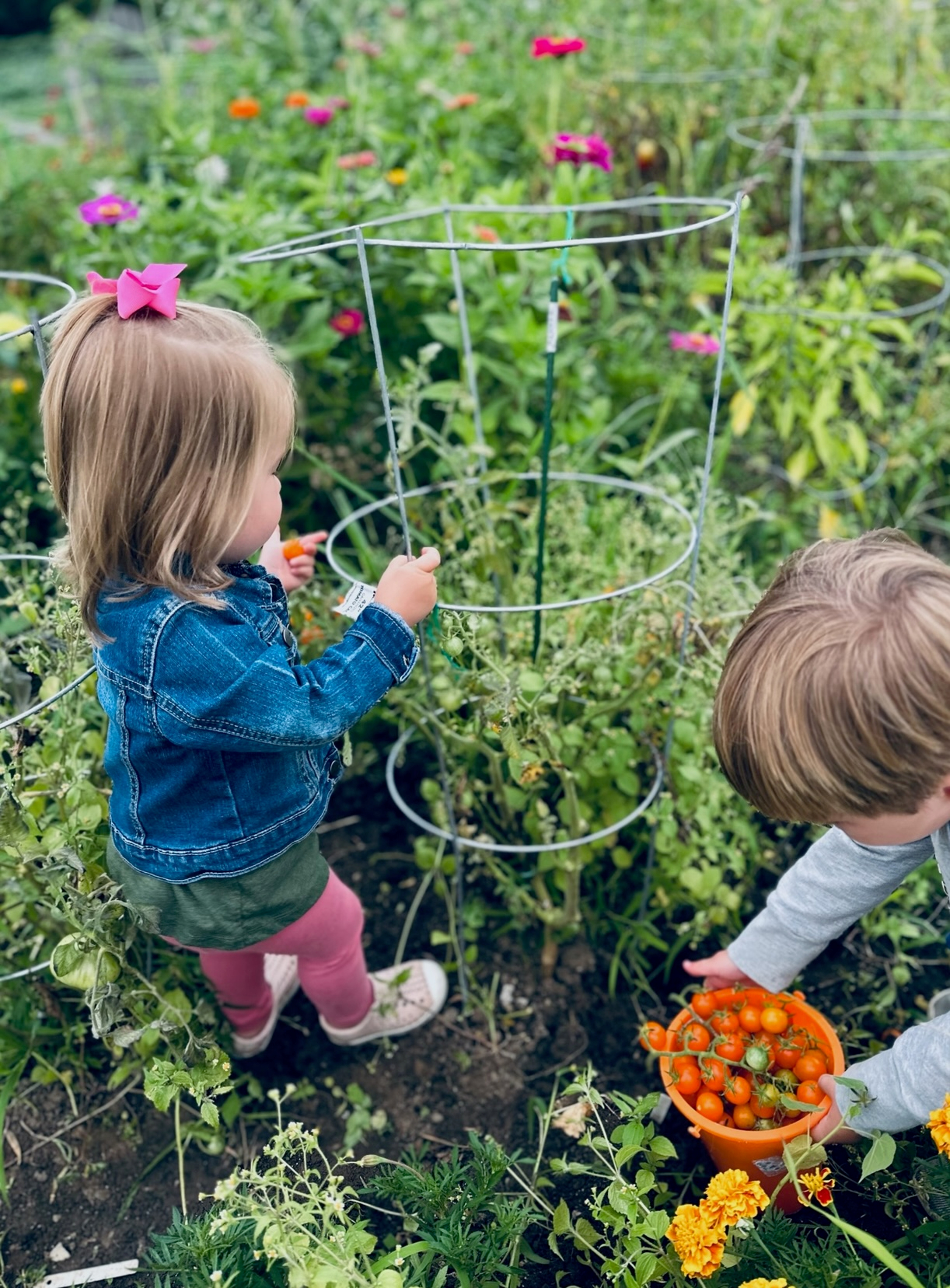 mcadams children gardening