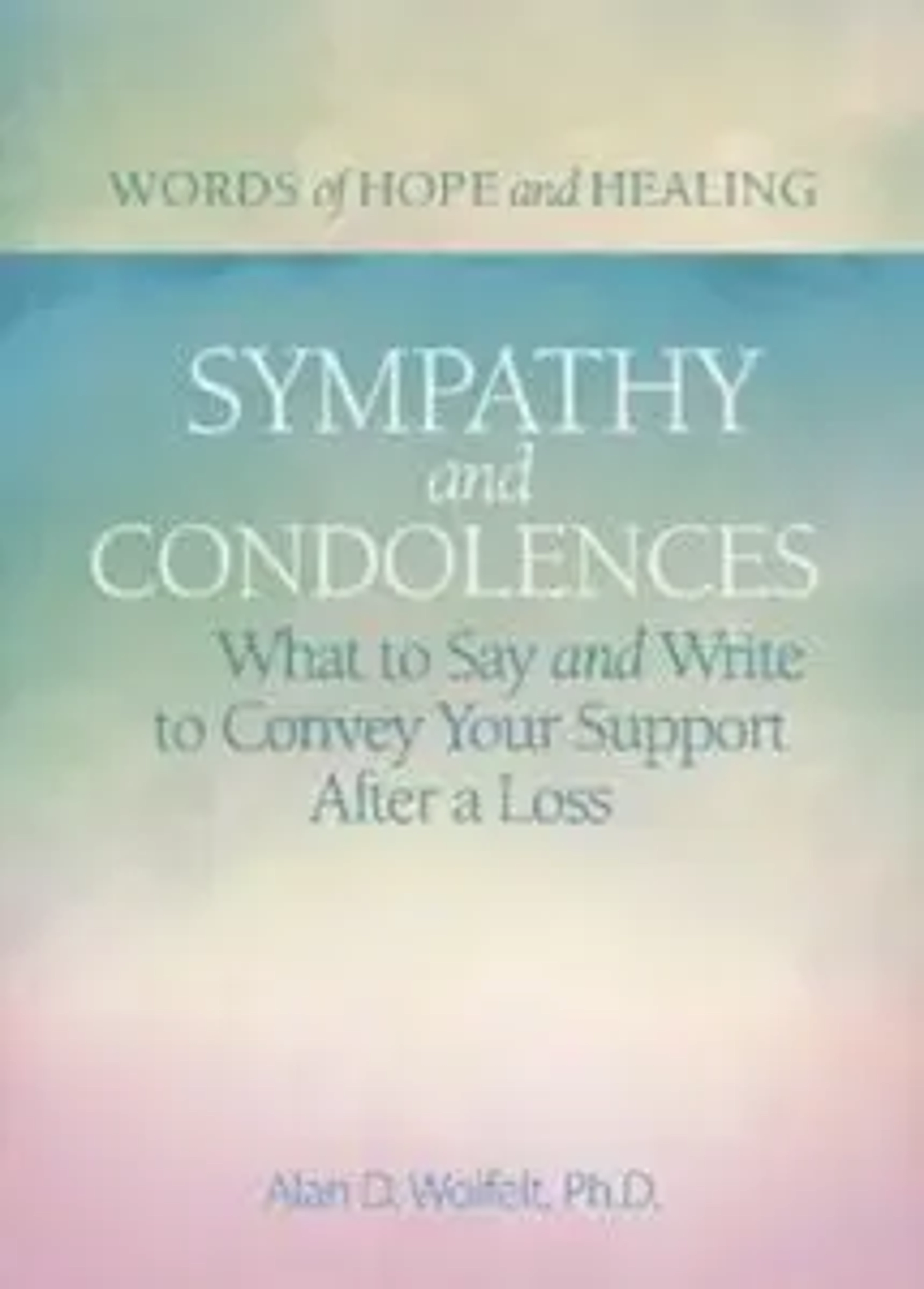 Smypathy and Condolences book by Alan D Wofelt