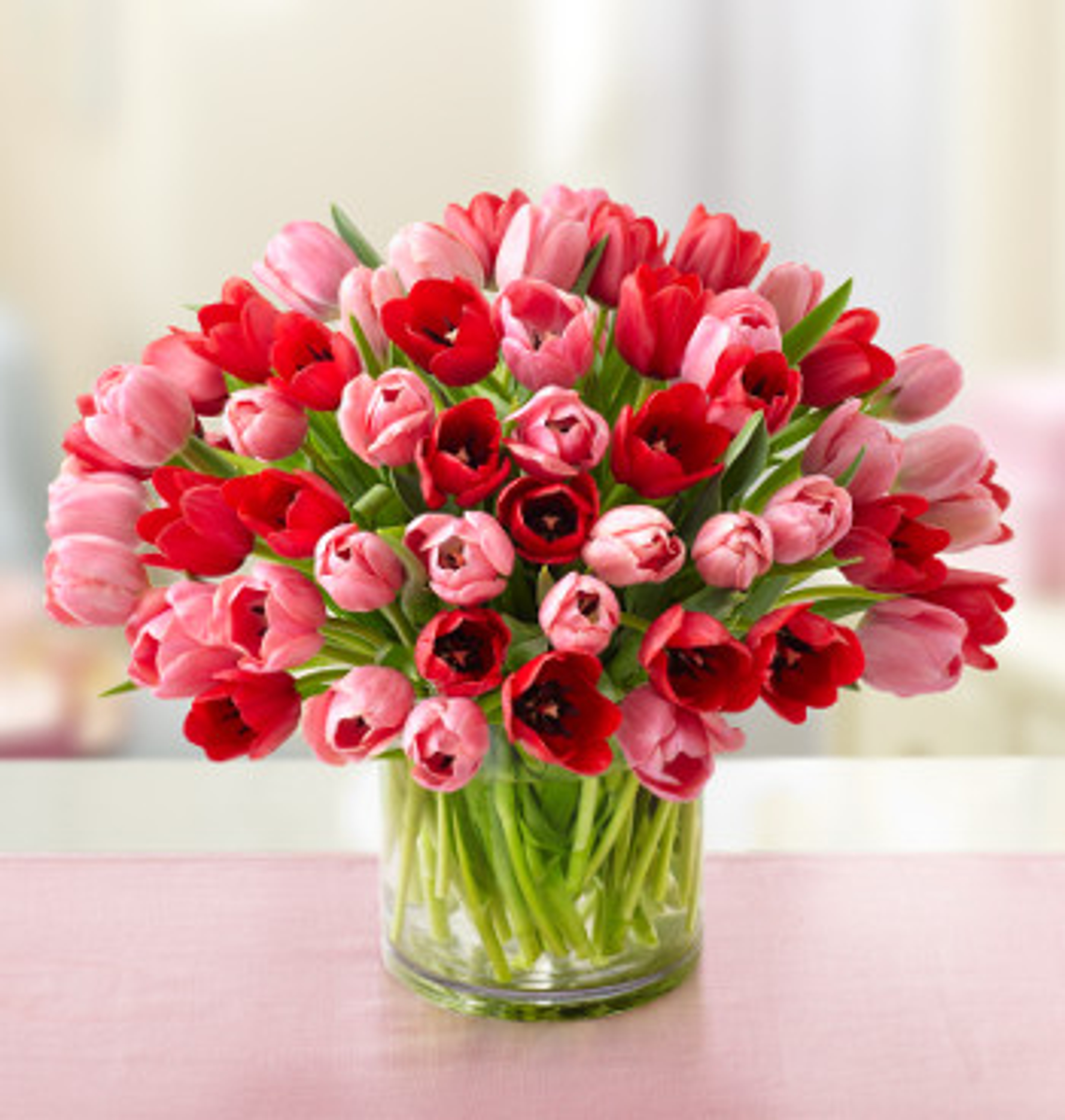 sweetest love tulips valentines day