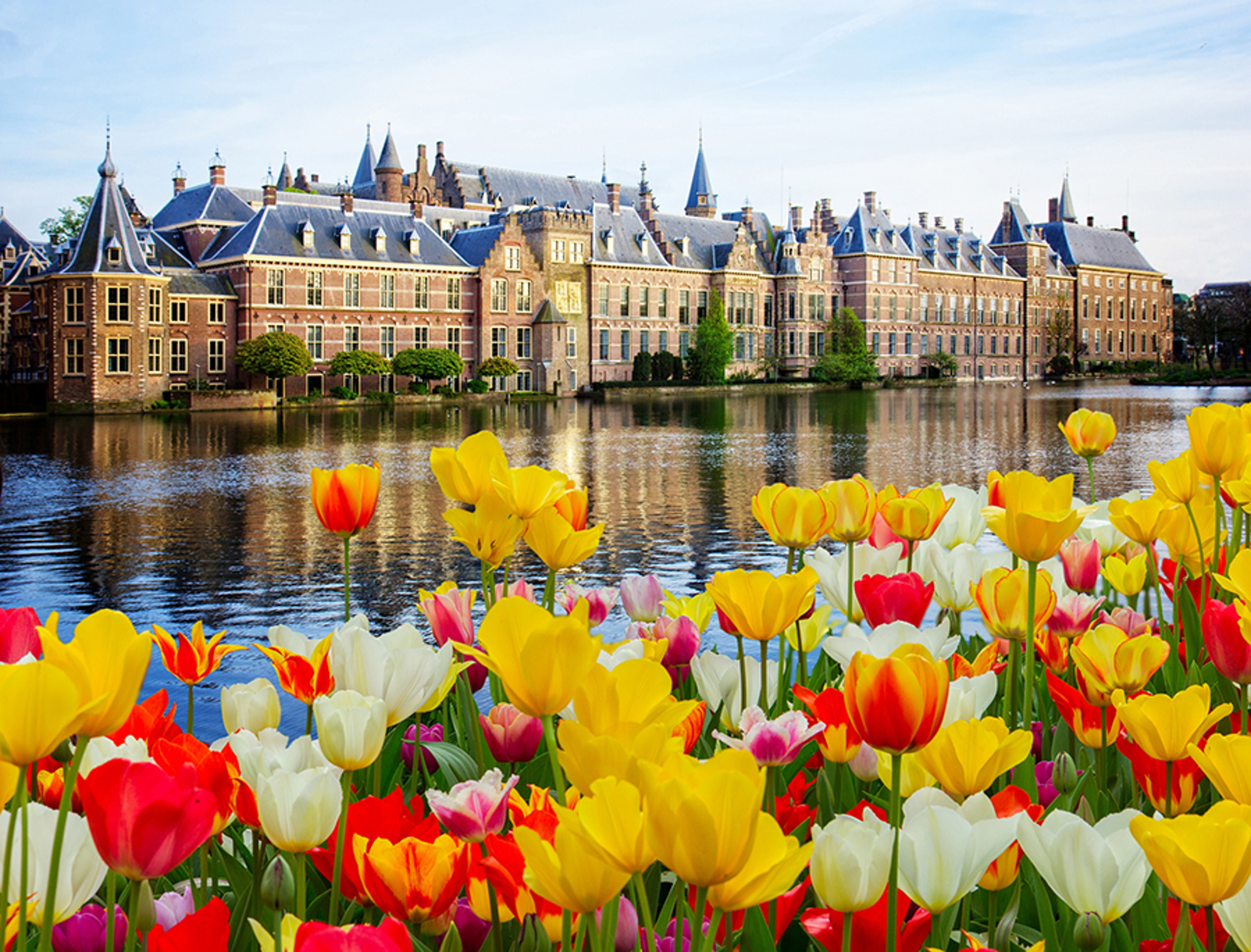 Binnenhof Dutch Parliament, The Hague Den Haag at spring, Netherlands