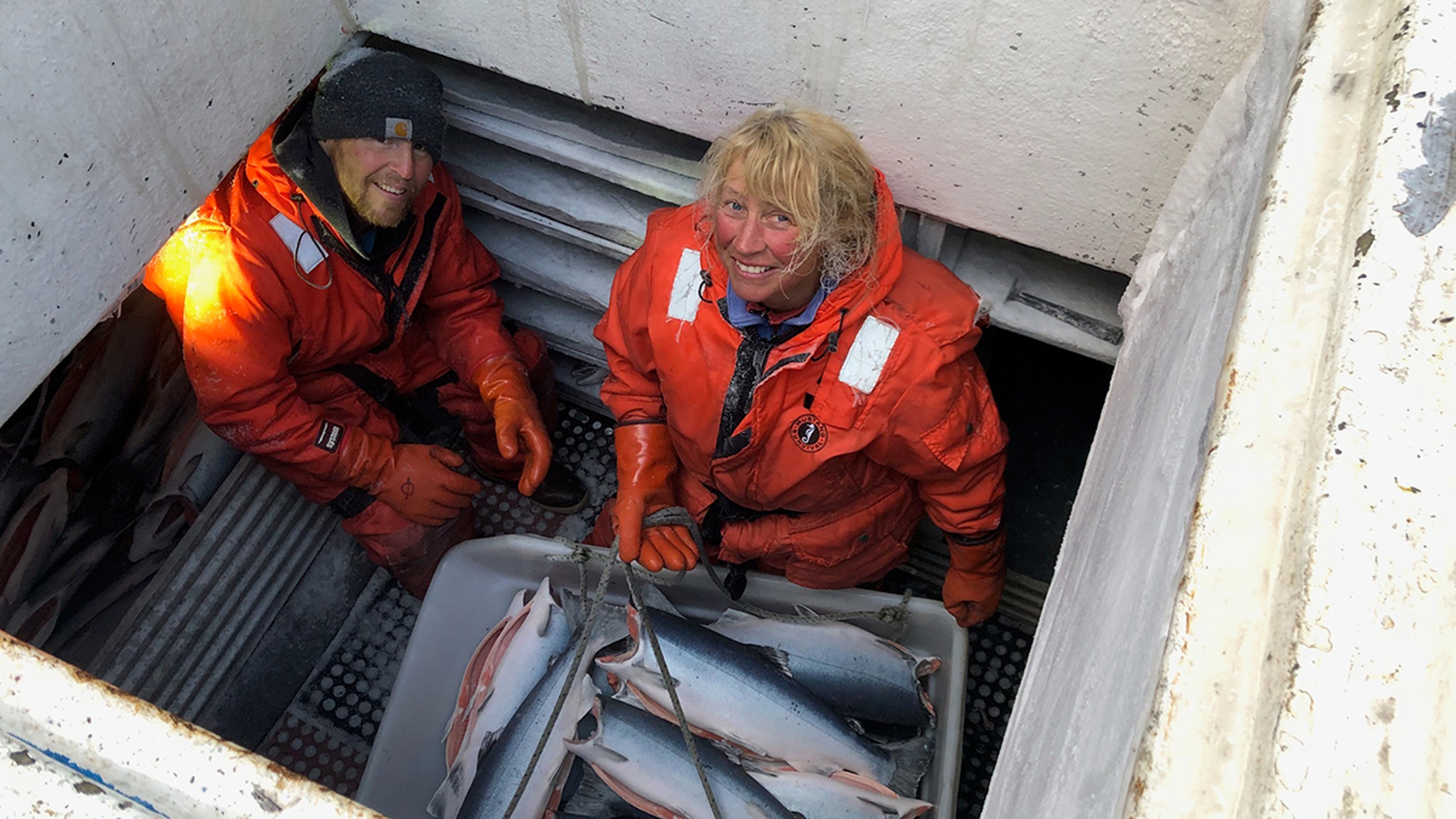 Crew offloading a bucket of coho salmon.