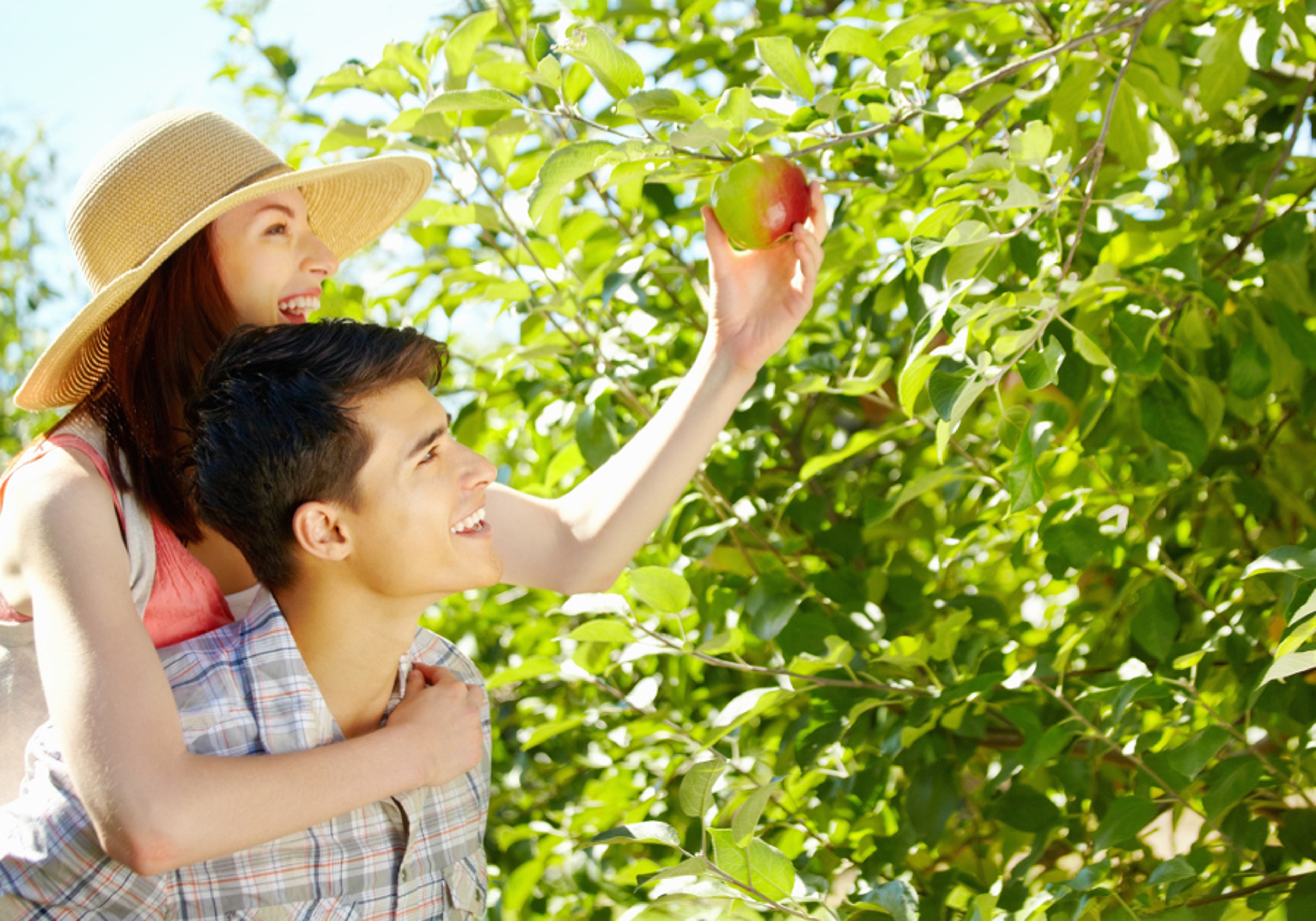 Article Cards Featured Image Portrait of young woman picking apple while getting carried on man's back in park