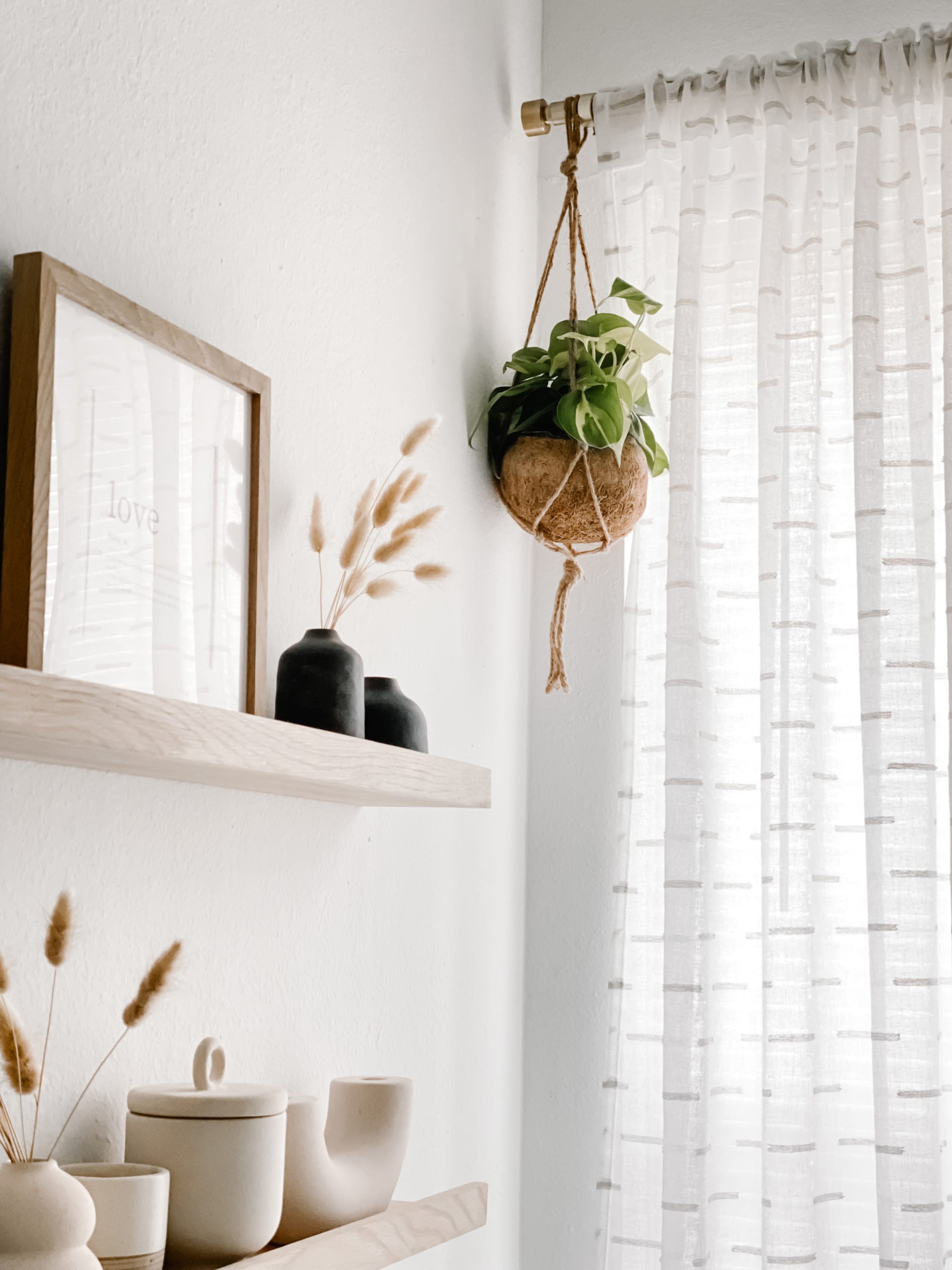 Keep your room fresh with a hanging Kokedama