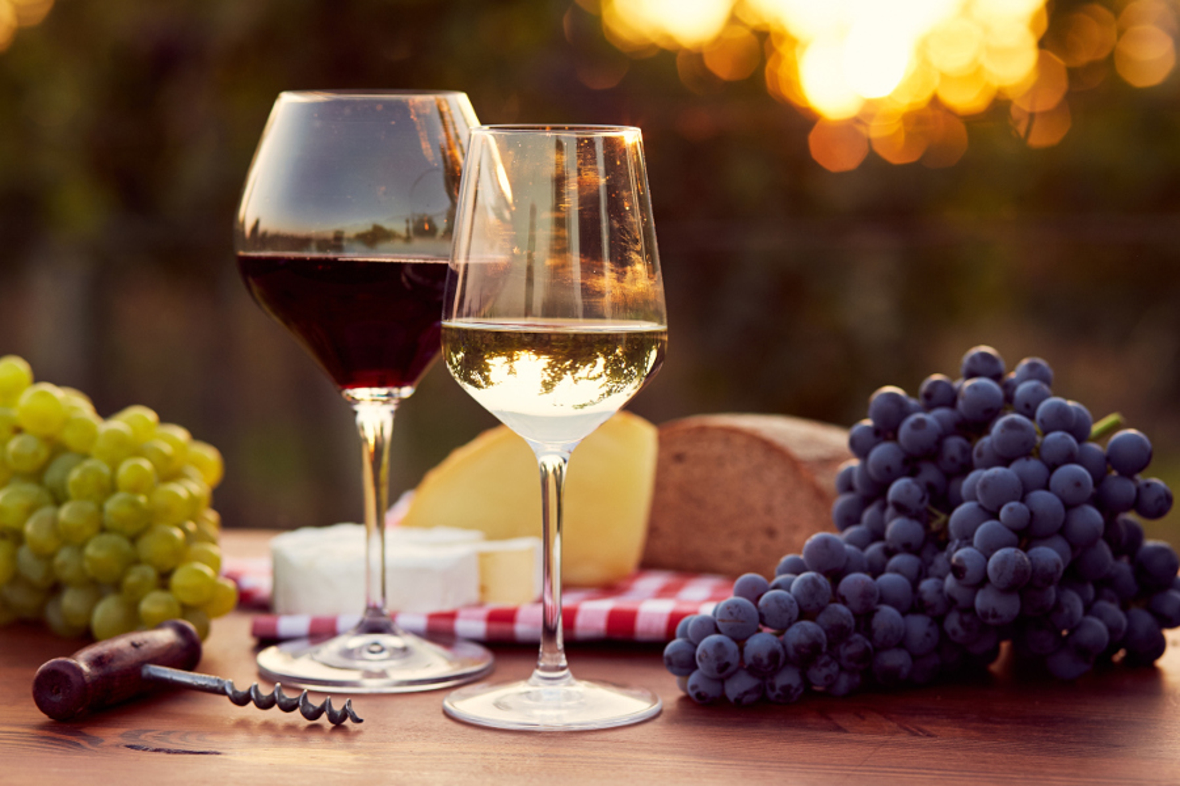 Article Cards Featured Image Two glasses of white and red wine with food at sunset, toned