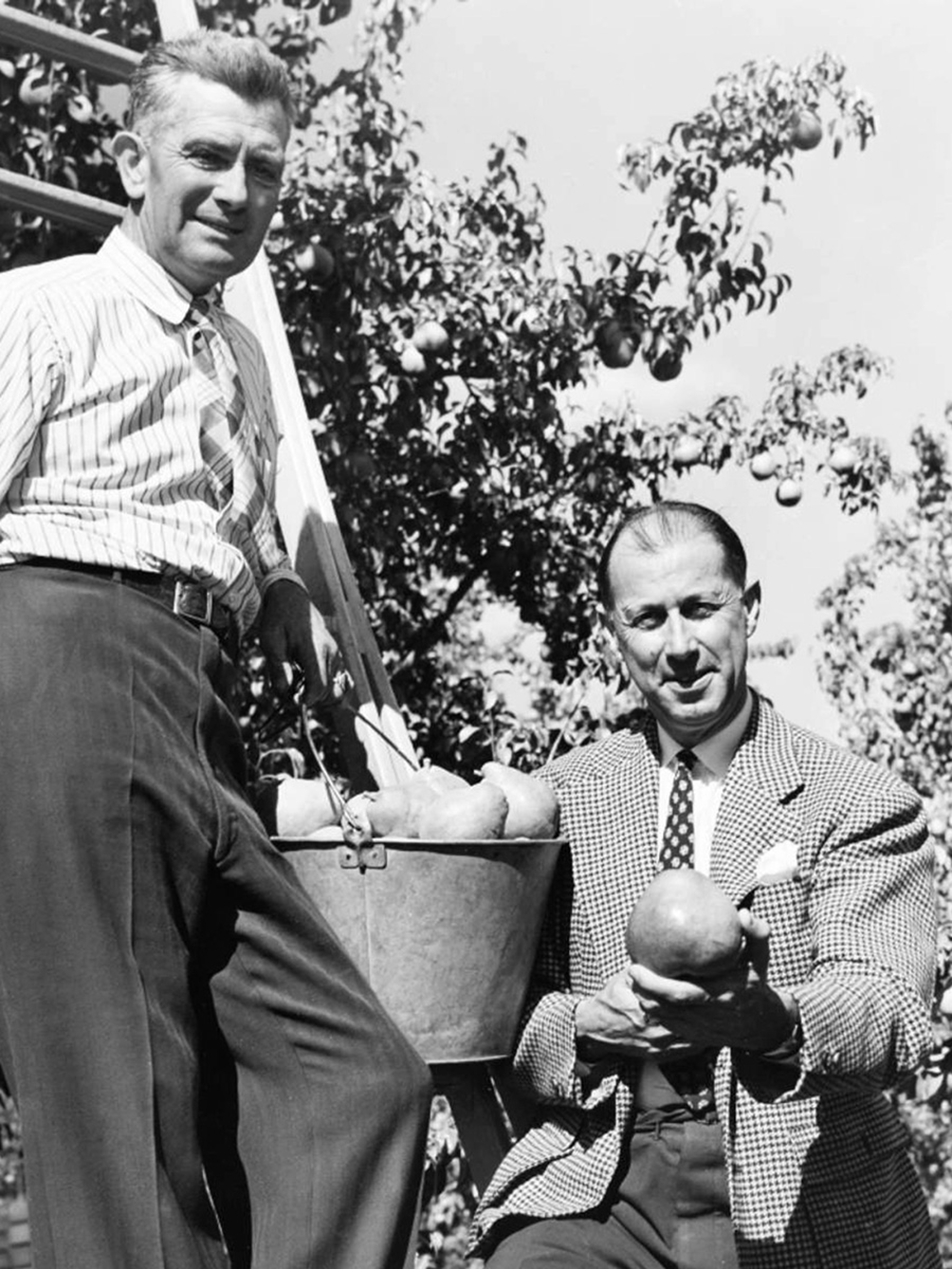 Harry & David in the orchard.