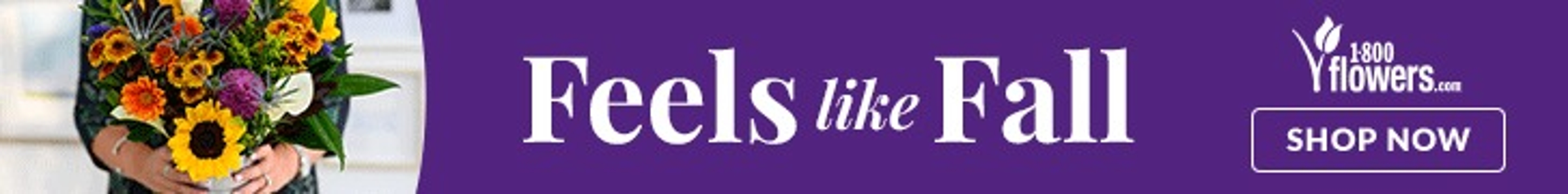 Flowers.com Evergreen Feels like Fall Collection Banner Ad