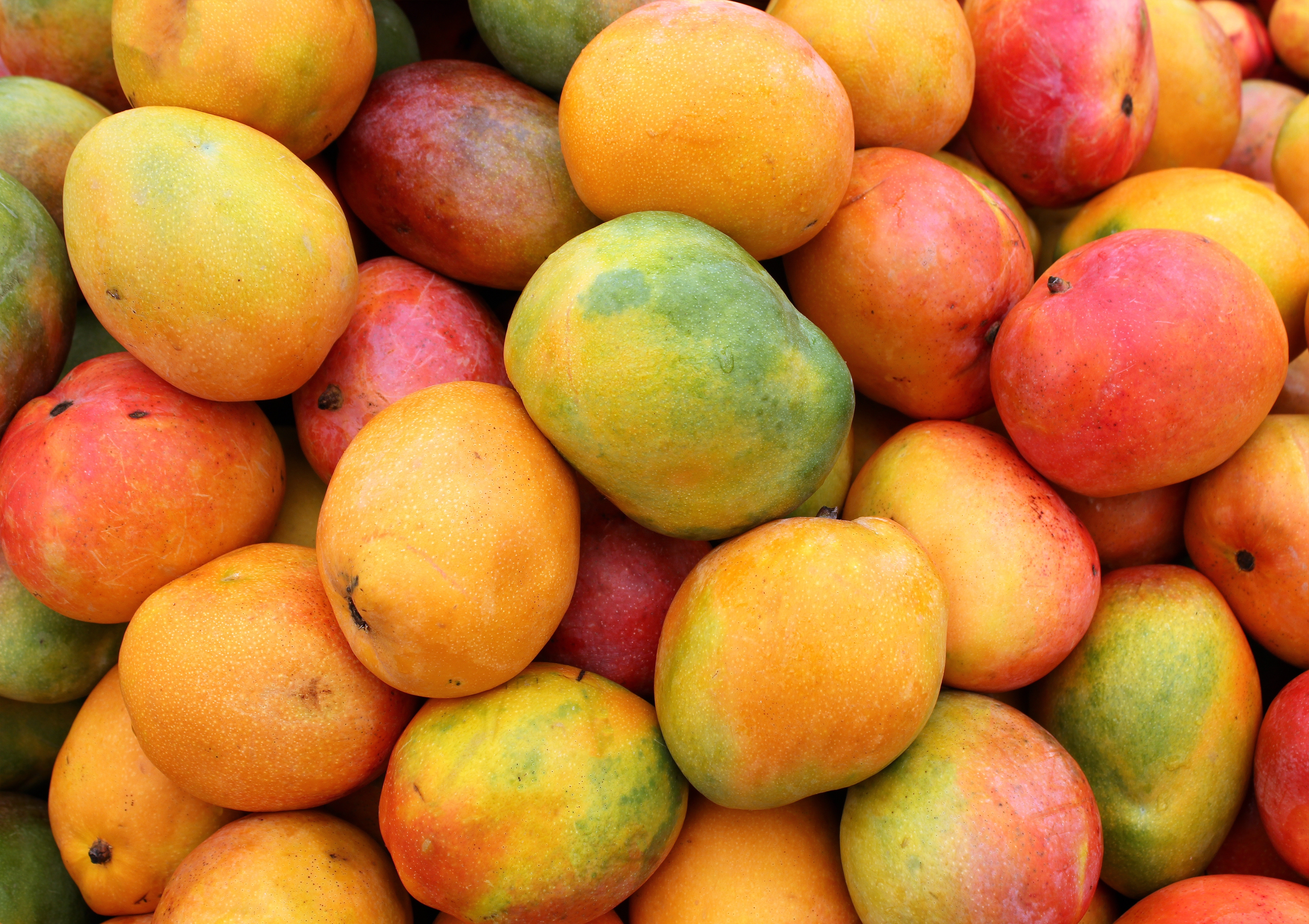 Article Cards Featured Image guide to mangoes pile of ripe mangoes