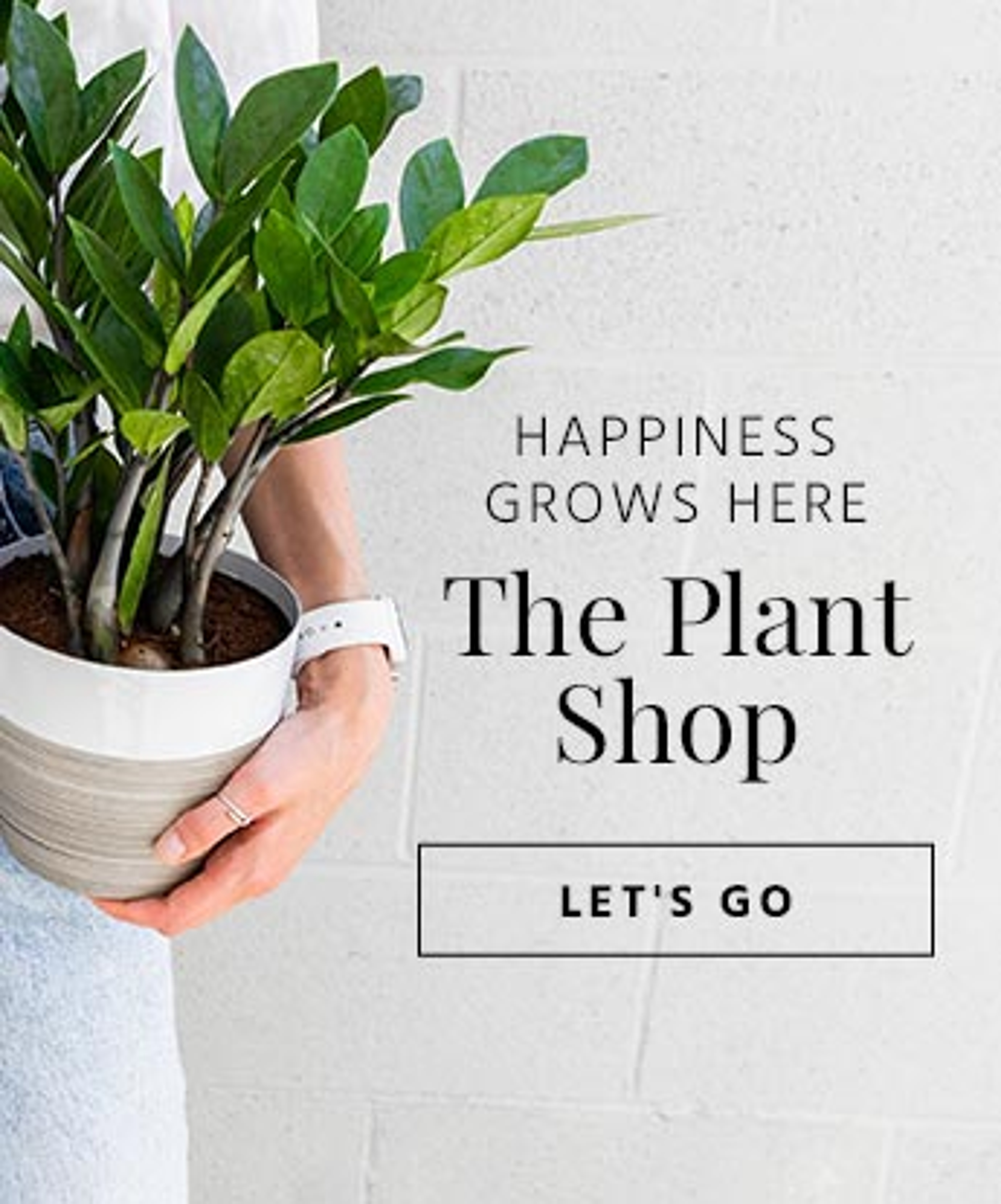 Happiness Grows Here The Plant Shop Houseplant Collection Banner Ad