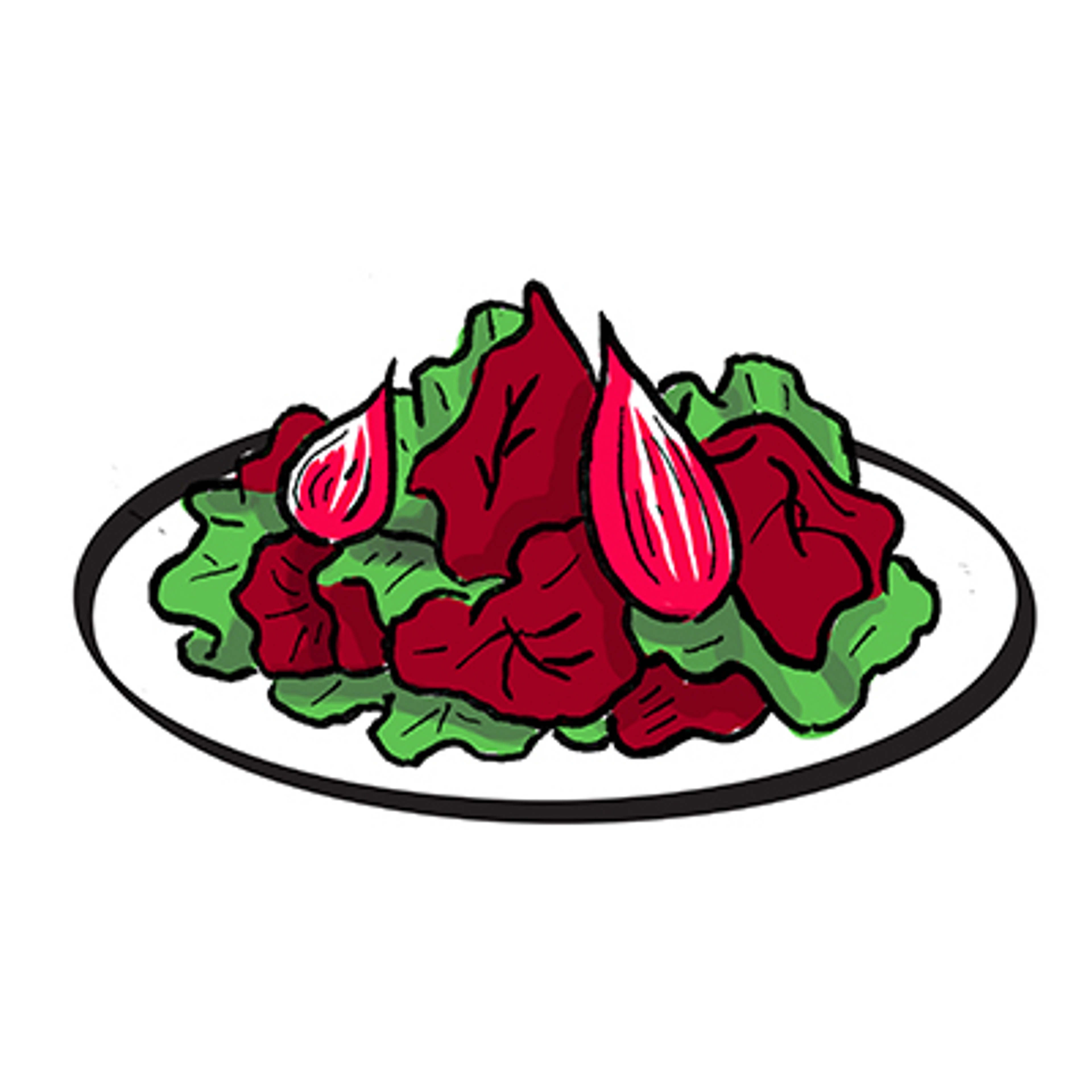 Types of salad drawing with a plate of bitter greens and veg.
