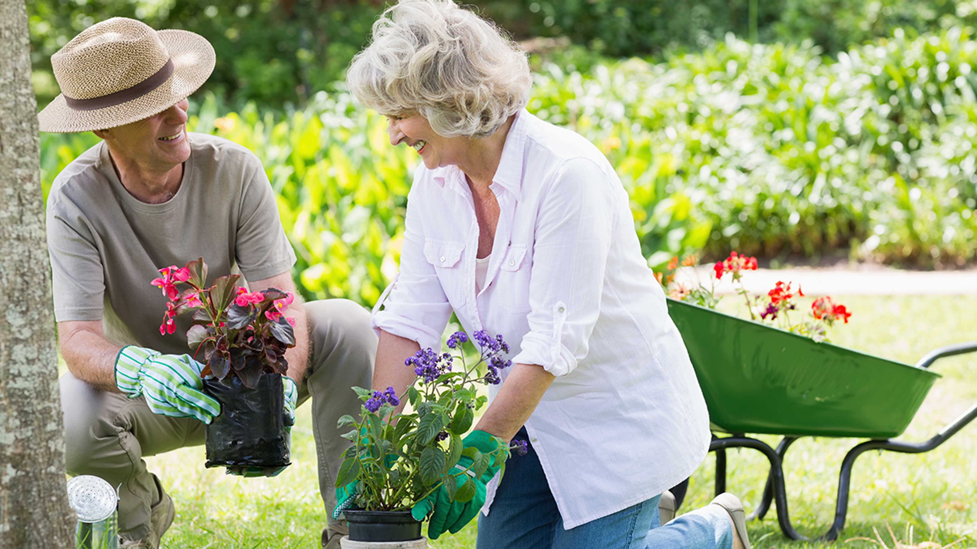 gardening quotes older couple gardening